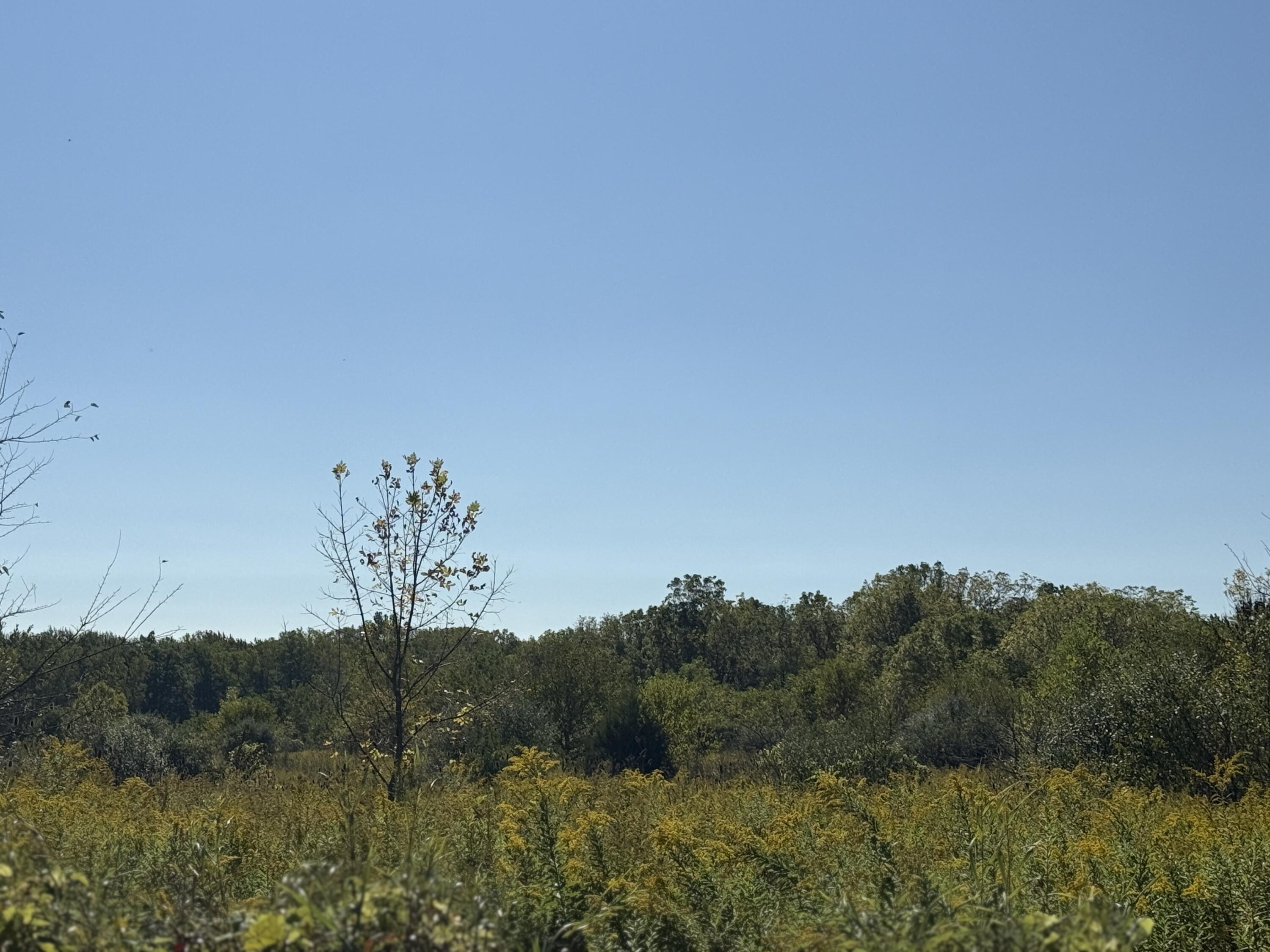 13129 Macon Road Saline, MI 48176 - Photo 10 of 10 IMG_2303