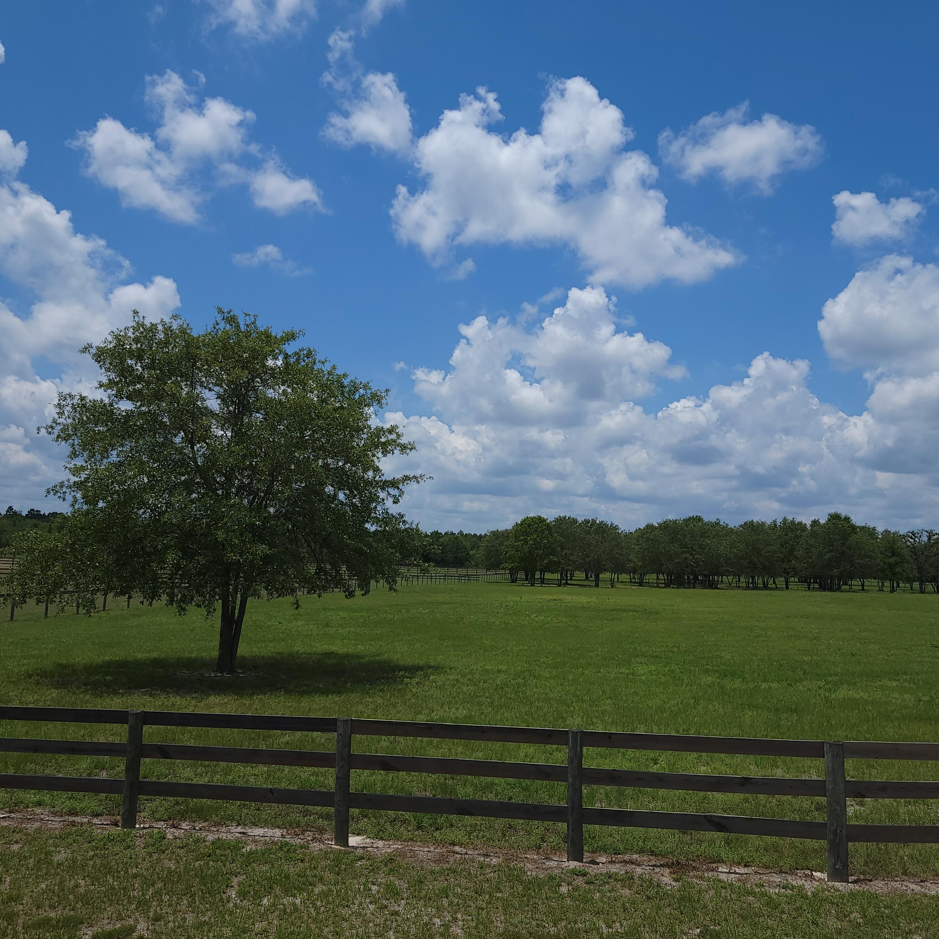0 Riker Trail Windsor, SC 29856 - Photo 2 of 21