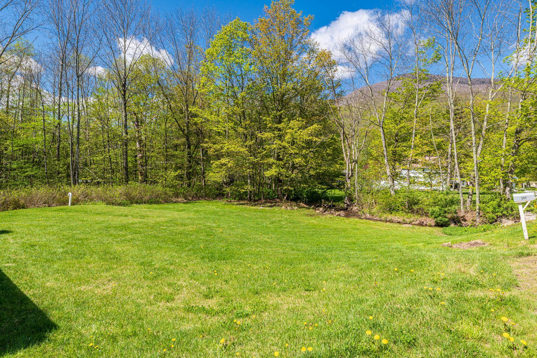 298 Mad Tom Road Dorset, VT 05253 - Photo 45 of 45