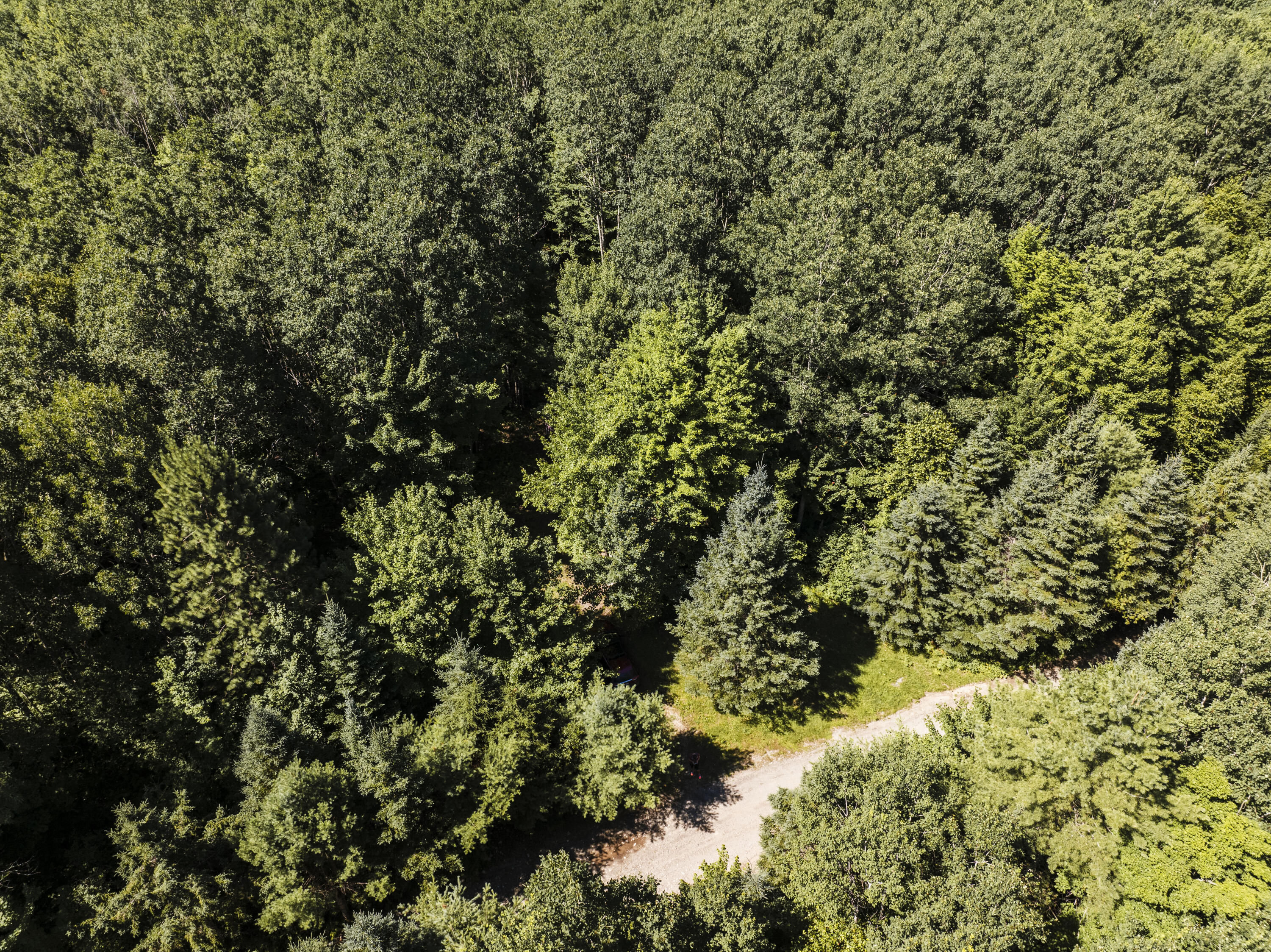 115 No Bridge Road West Forks, ME 04985 - Photo 10 of 12 DJI_20240719224611_0001_D-HDR