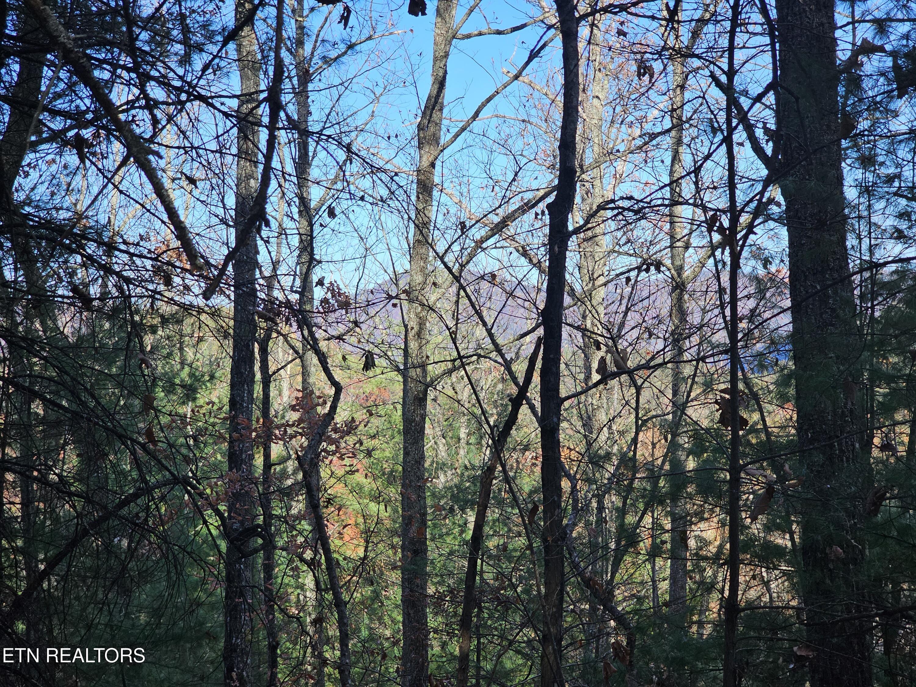 120 Greystone Way Townsend, TN 37882 - Photo 1 of 5 Mountain view