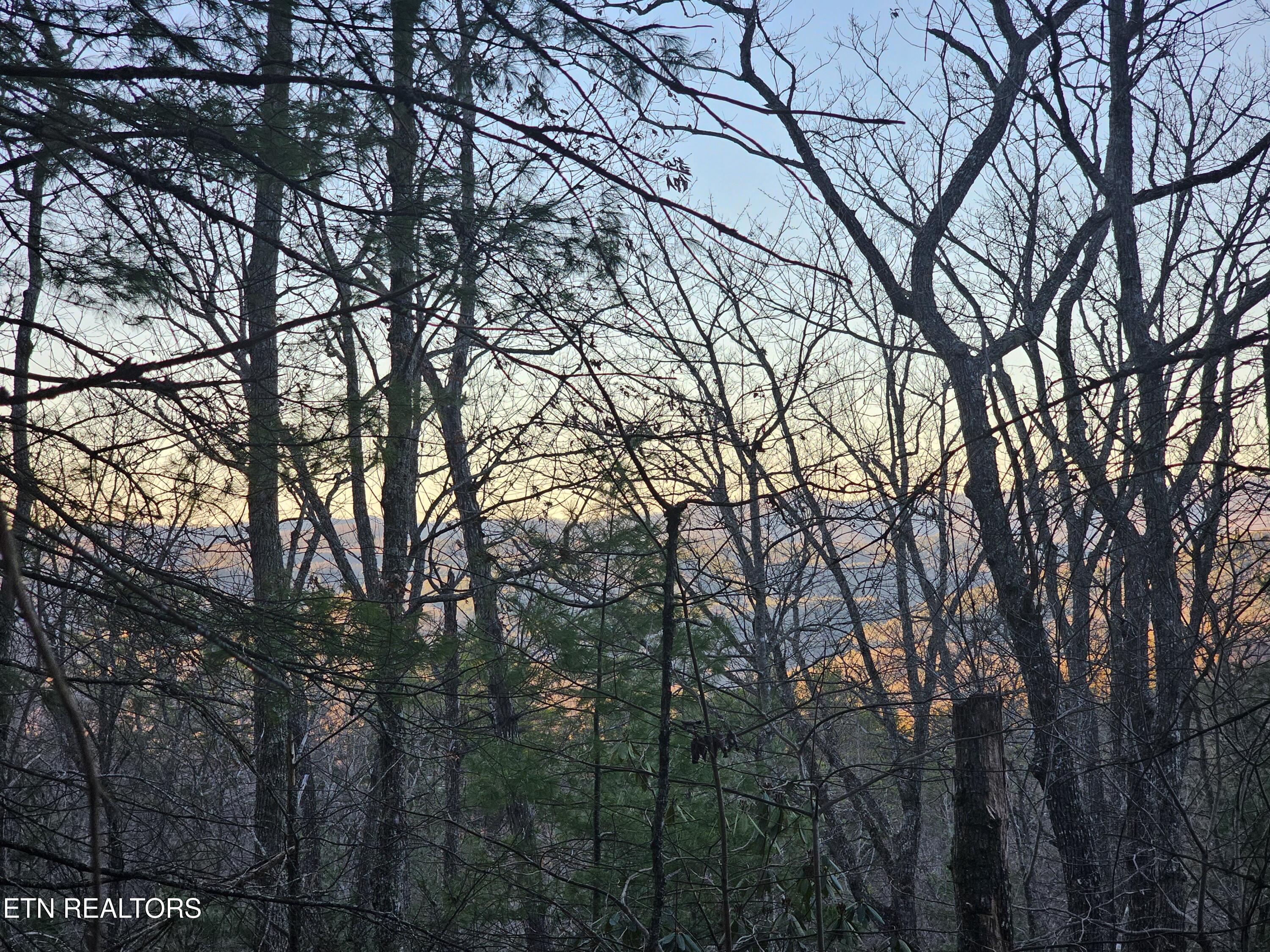 Views of the mountains