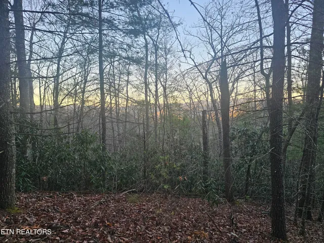 $119,849 | 120 Greystone Way, Townsend, TN 37882