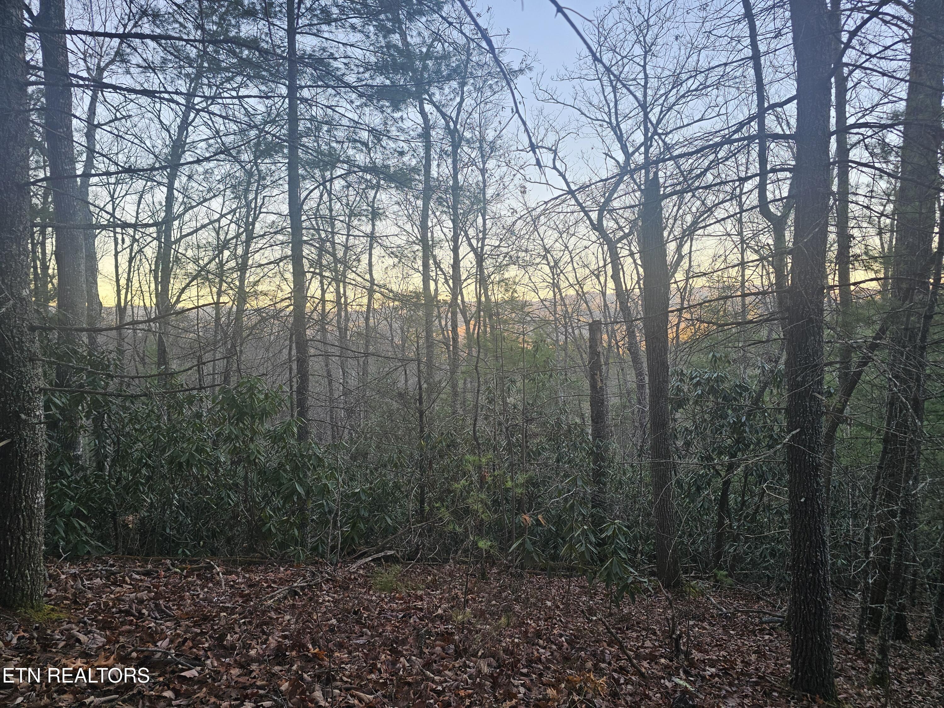 120 Greystone Way Townsend, TN 37882 - Photo 2 of 8 Potential building sites