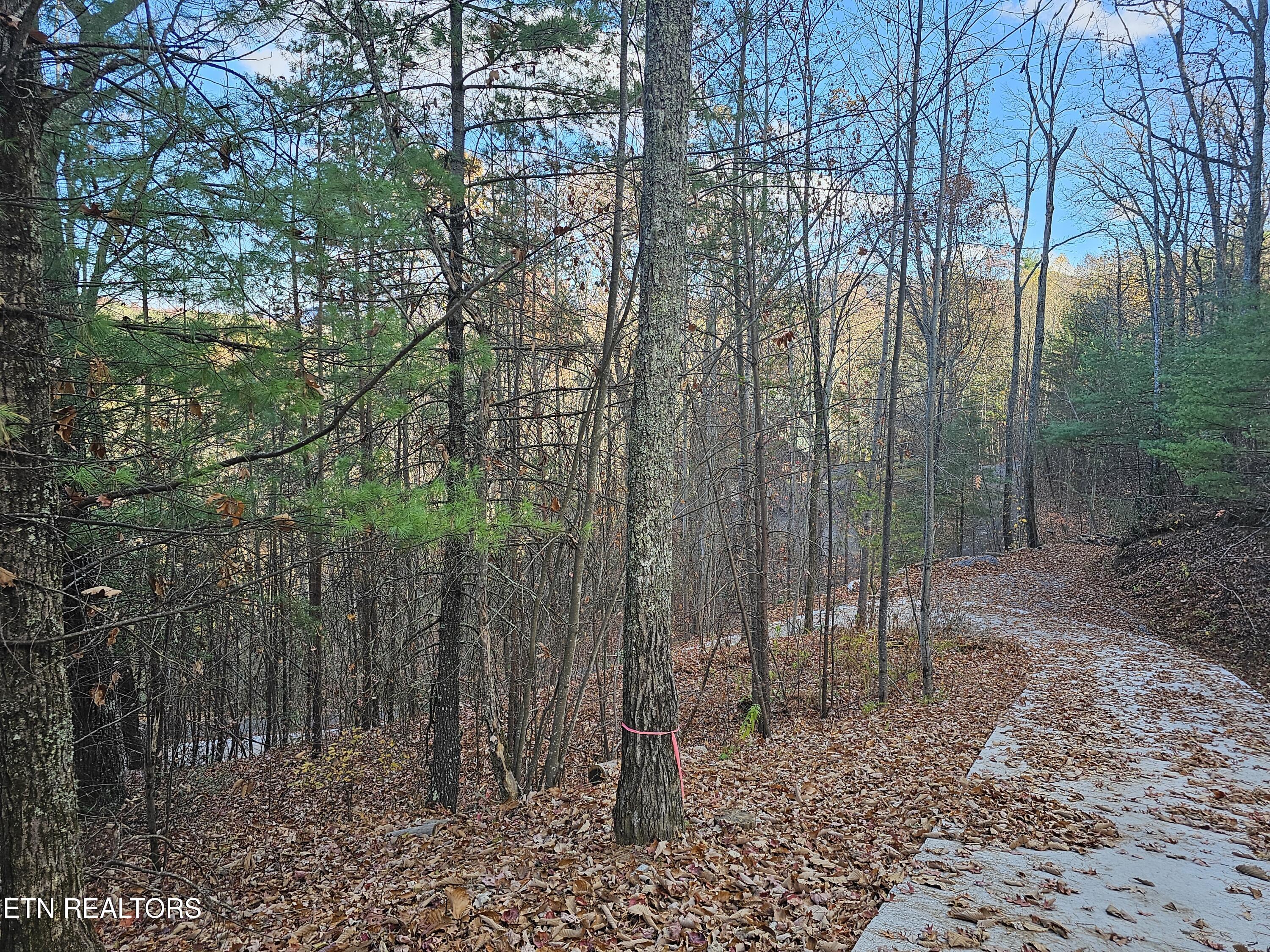 120 Greystone Way Townsend, TN 37882 - Photo 2 of 5 Road already installed for you