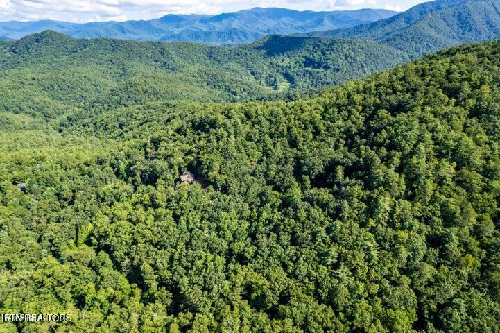 120 Greystone Way Townsend, TN 37882 - Photo 3 of 5 120 Greystone Way