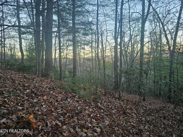 $119,849 | 120 Greystone Way, Townsend, TN 37882