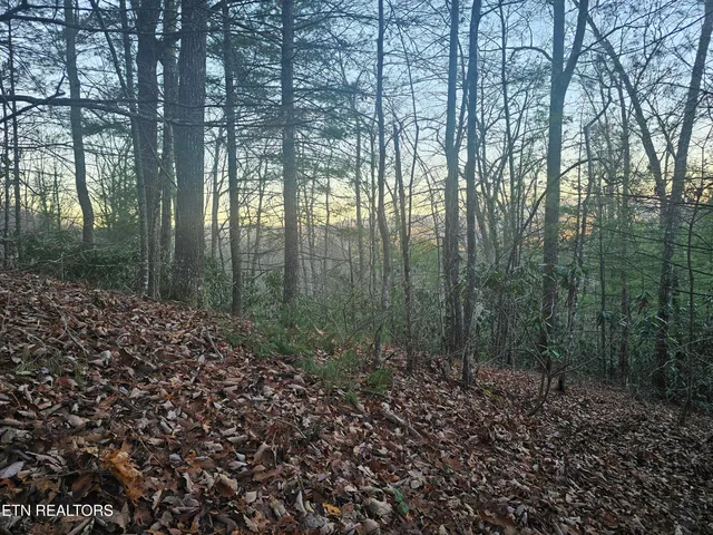 $119,849 | 120 Greystone Way, Townsend, TN 37882