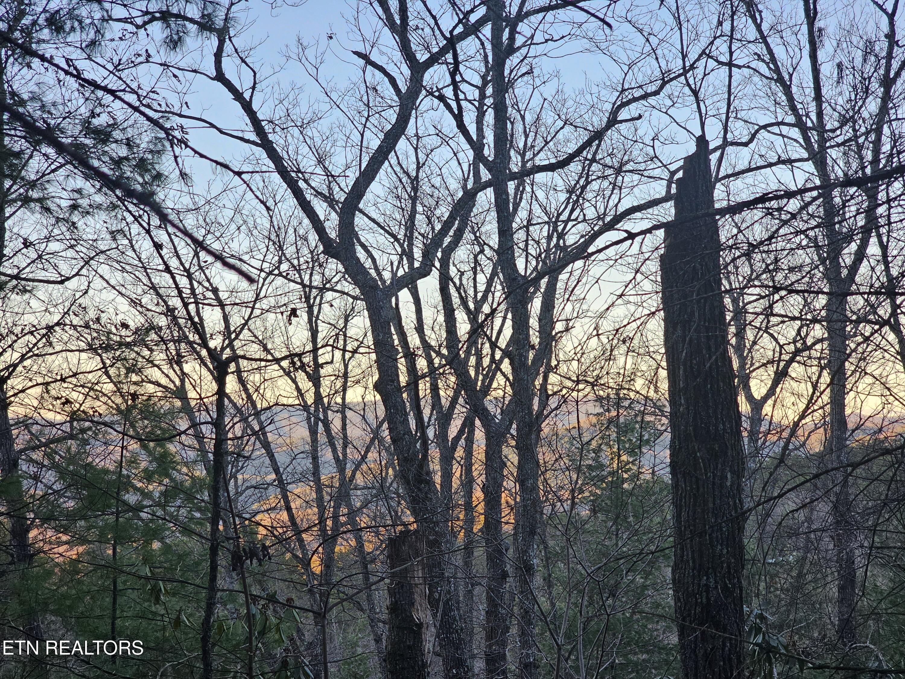 120 Greystone Way Townsend, TN 37882 - Photo 5 of 8 Views of the mountains