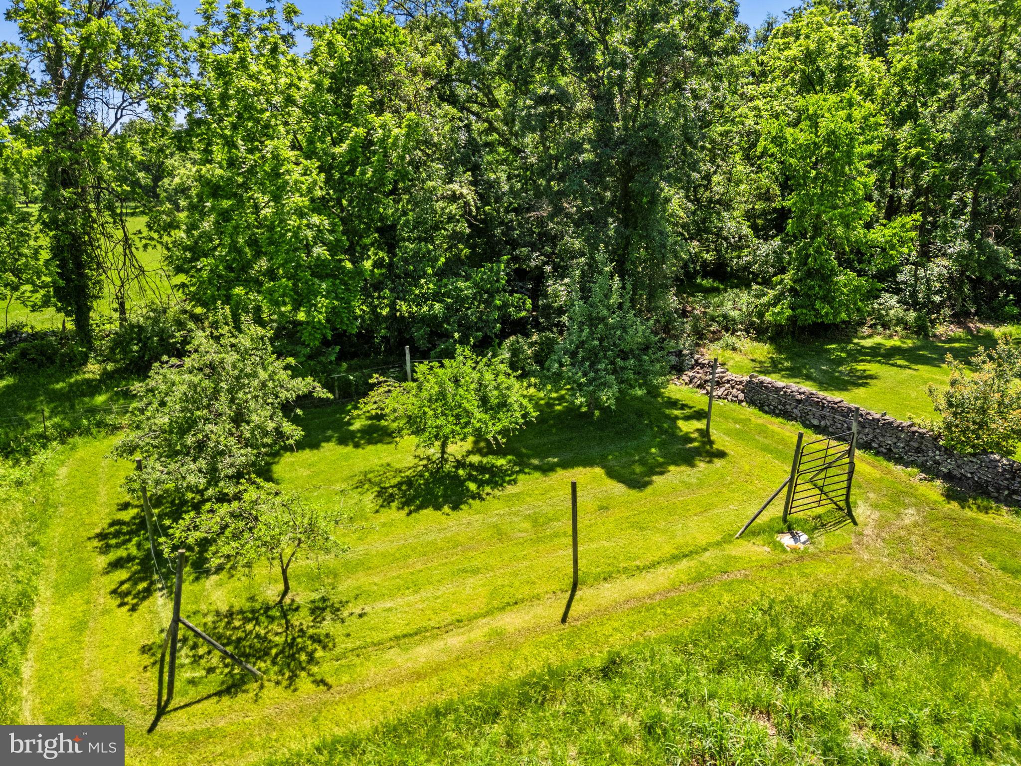 1310 Delaplane Grade Road Upperville, VA 20184 - Photo 52 of 94 View of the small apple orchard at front of house