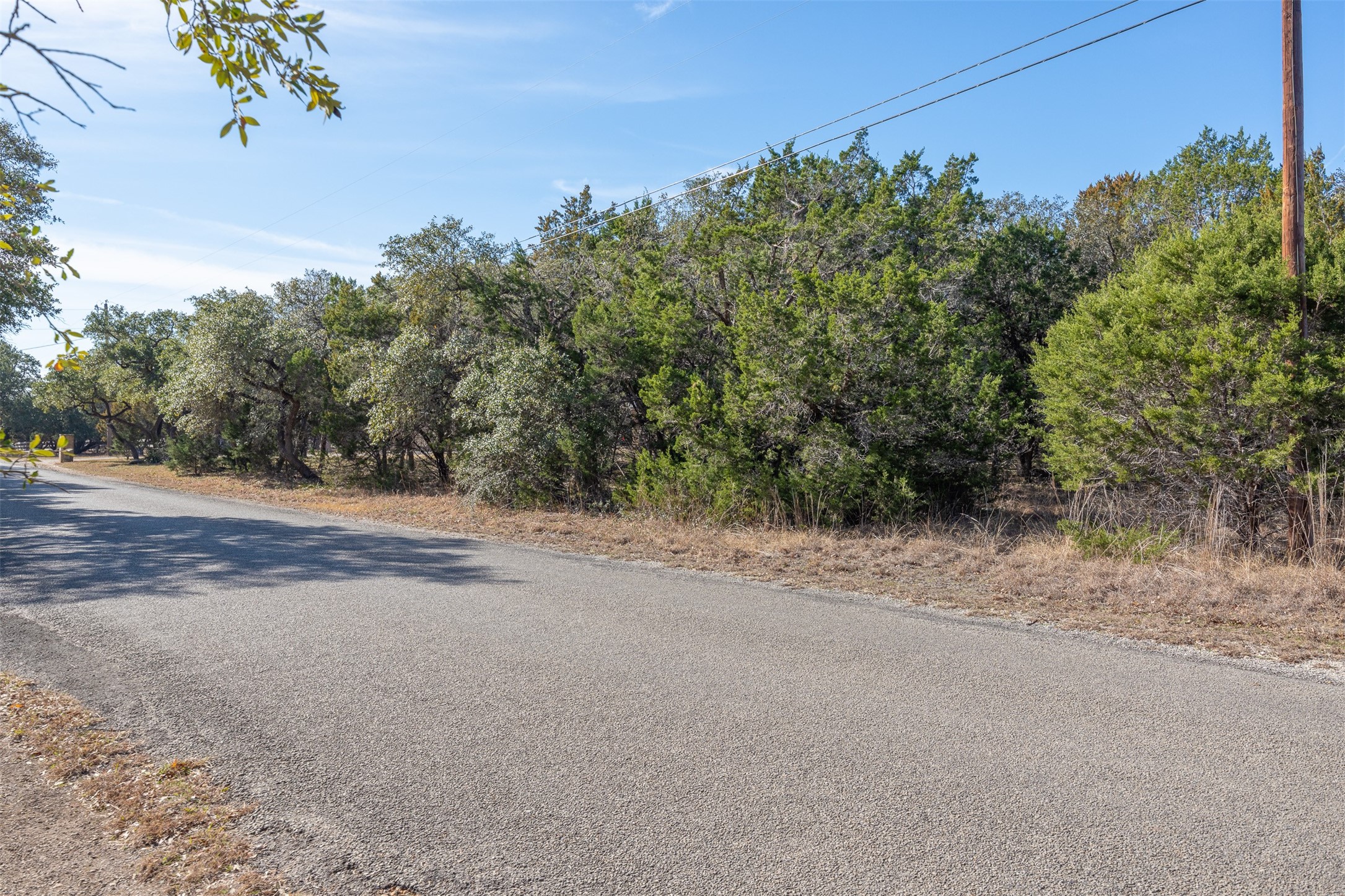 Lot 59 Ridge Oak Drive Wimberley, TX 78676 - Photo 14 of 30 a view of a yard with a tree
