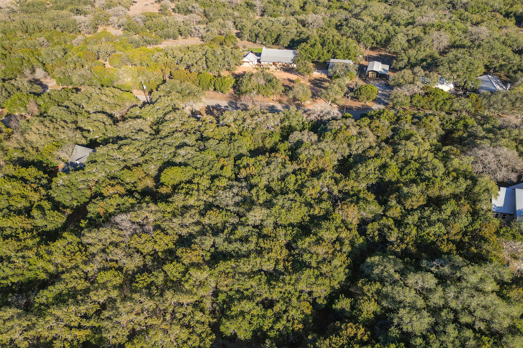 Lot 59 Ridge Oak Drive Wimberley, TX 78676 - Photo 16 of 30 a view of a tree