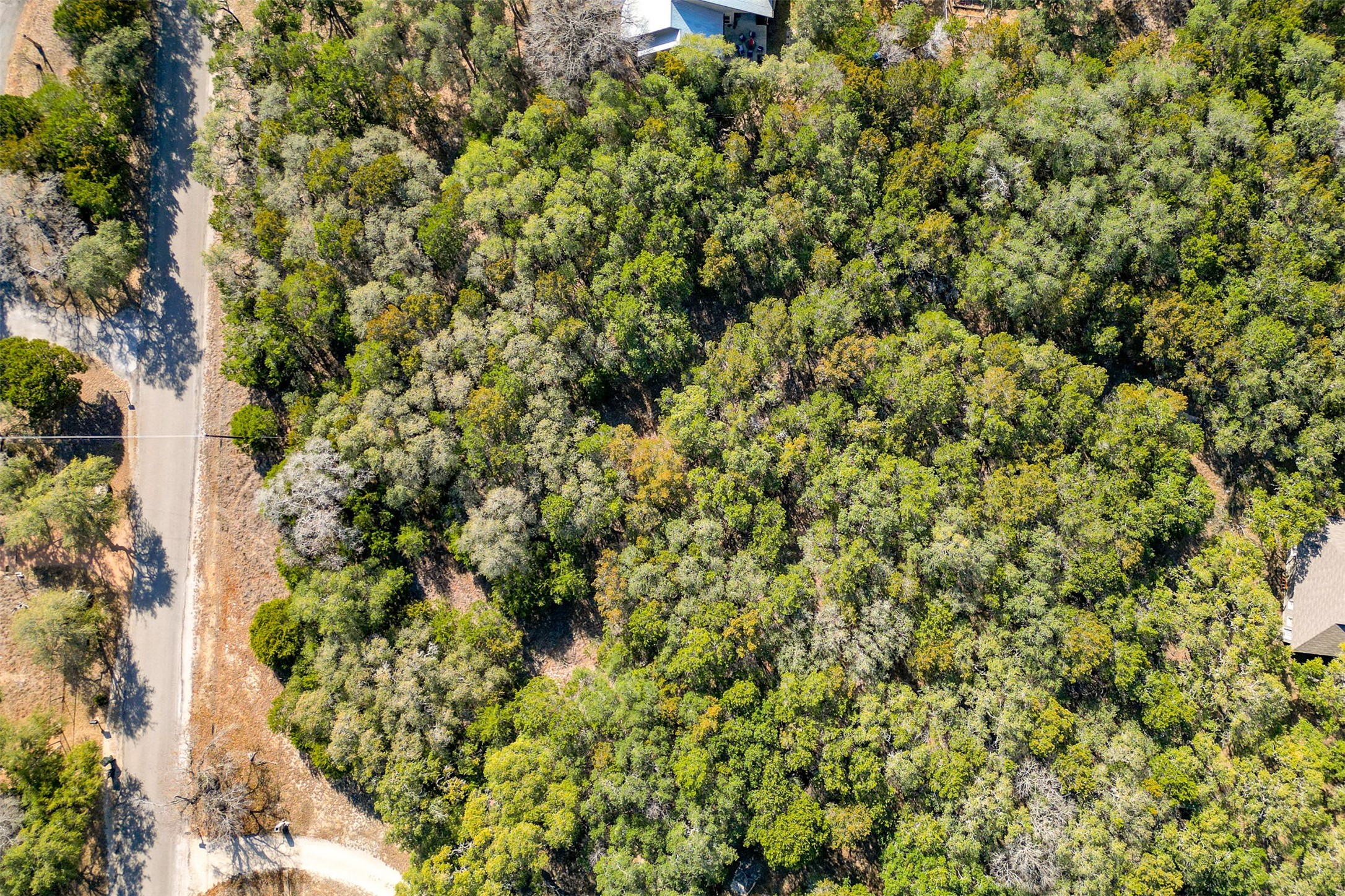 Lot 59 Ridge Oak Drive Wimberley, TX 78676 - Photo 30 of 30 a view of a lush green forest with a house