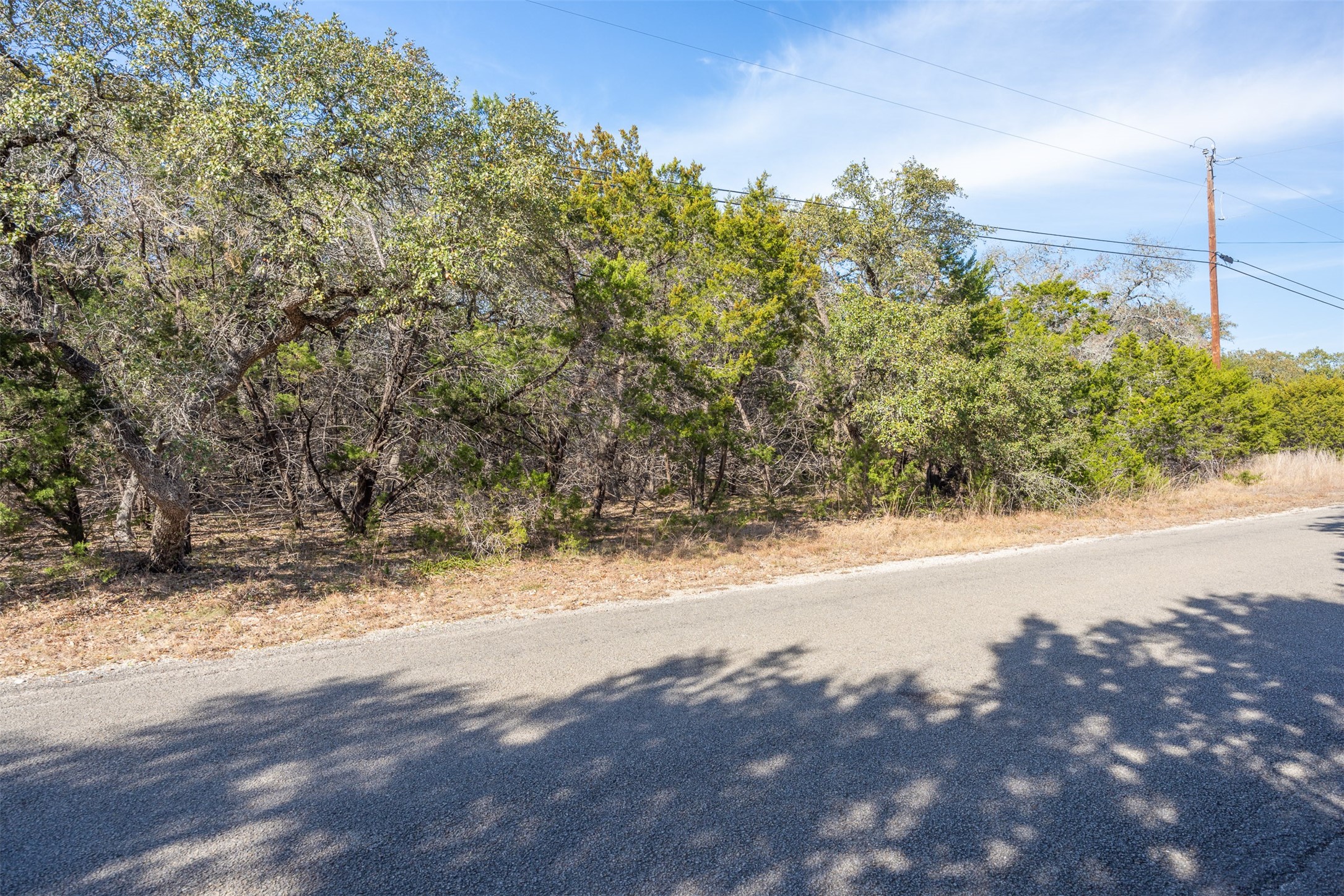 Lot 59 Ridge Oak Drive Wimberley, TX 78676 - Photo 3 of 30 a view of a yard with a tree