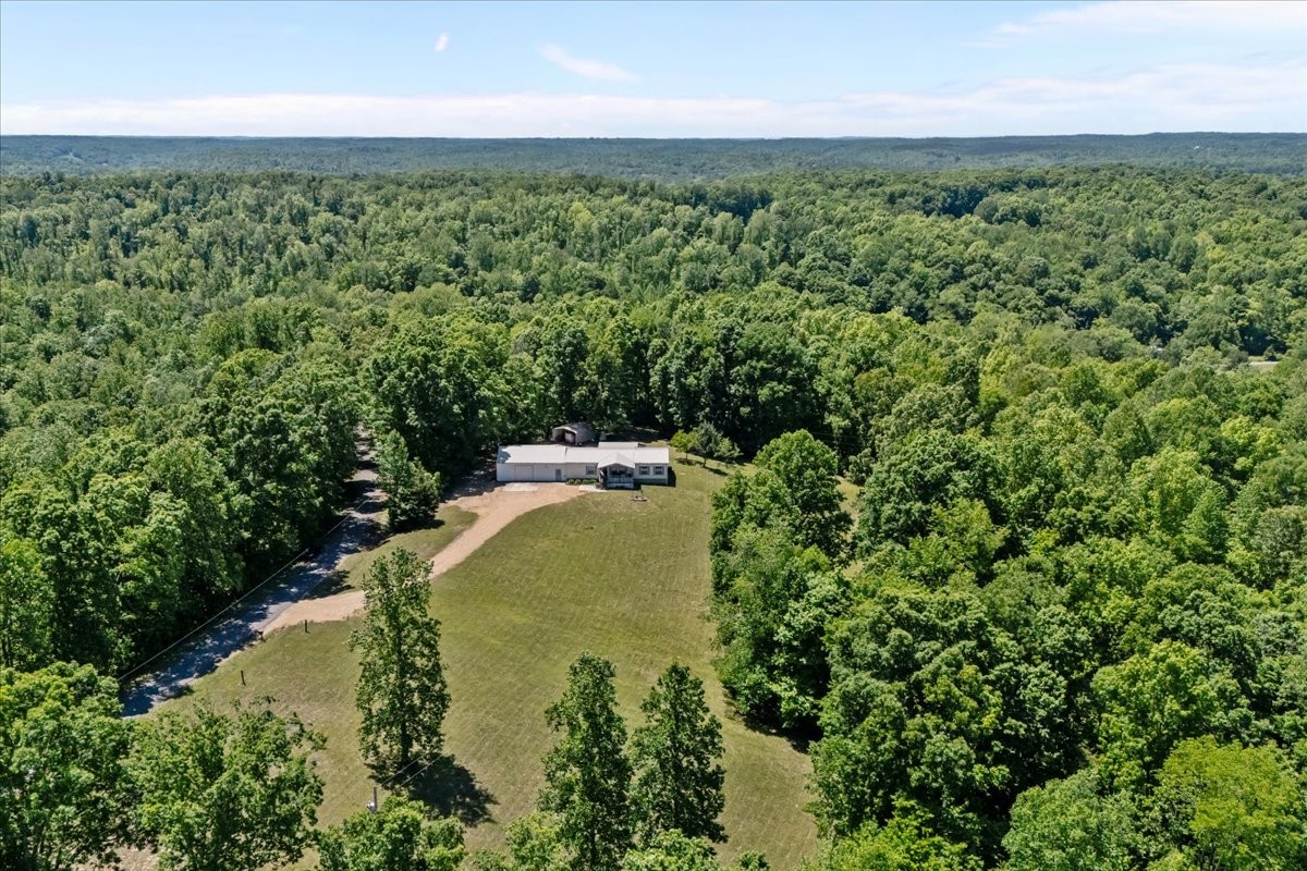 254 Shiloh Hollow Road Erin, TN 37061 - Photo 4 of 63