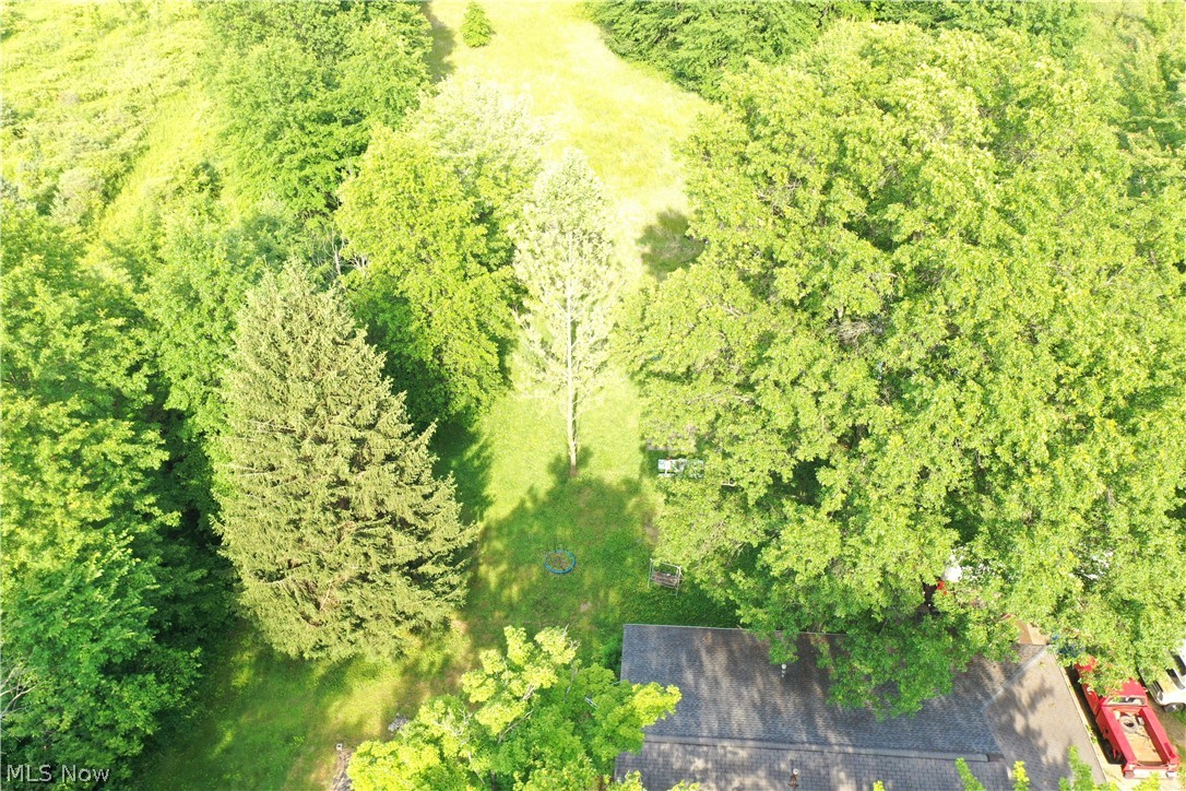 3646 Durst Clagg Road Cortland, OH 44410 - Photo 13 of 35 Gallery Image 13