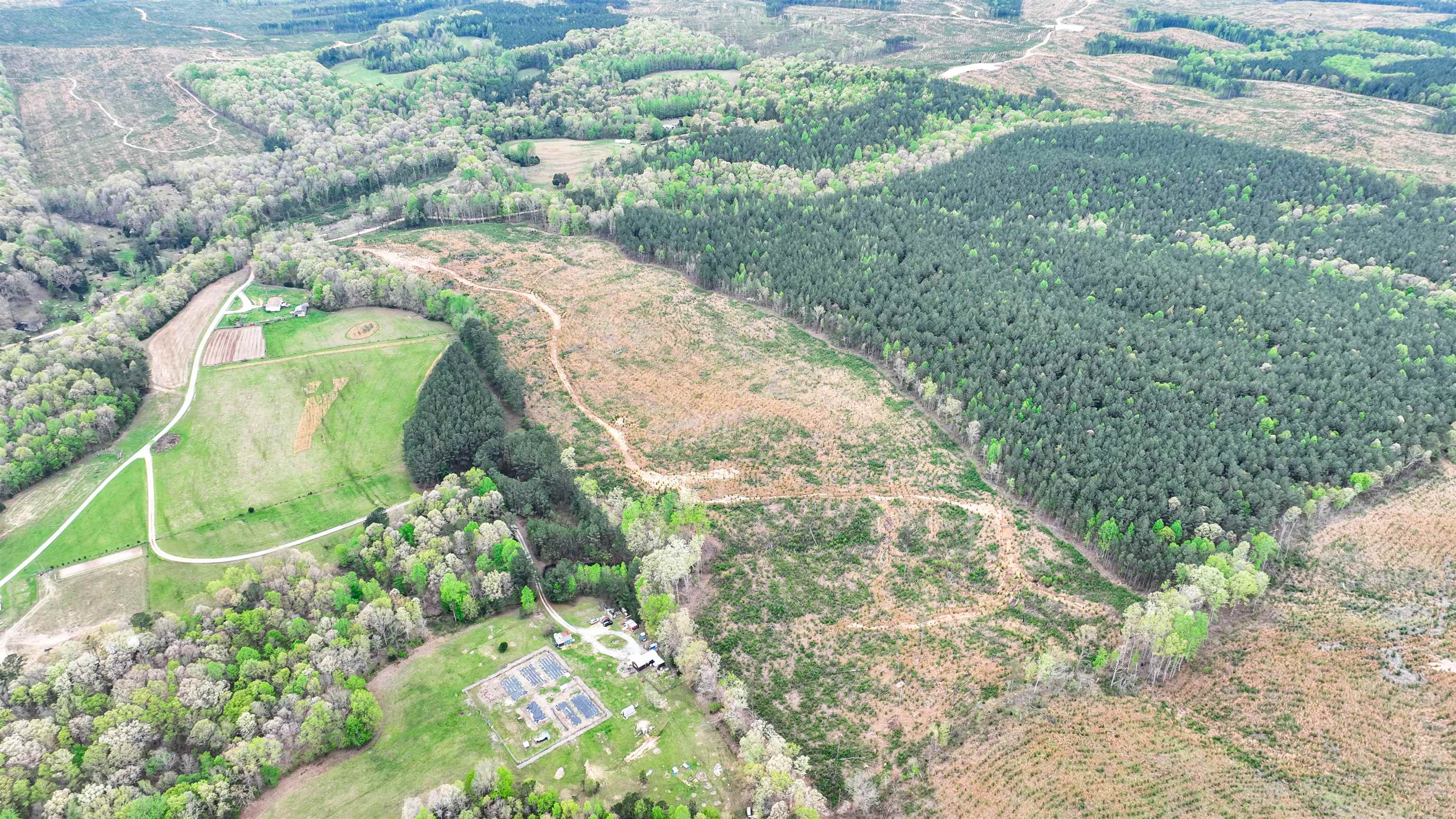 0 Fox Lane Savannah, TN 38372 - Photo 12 of 22