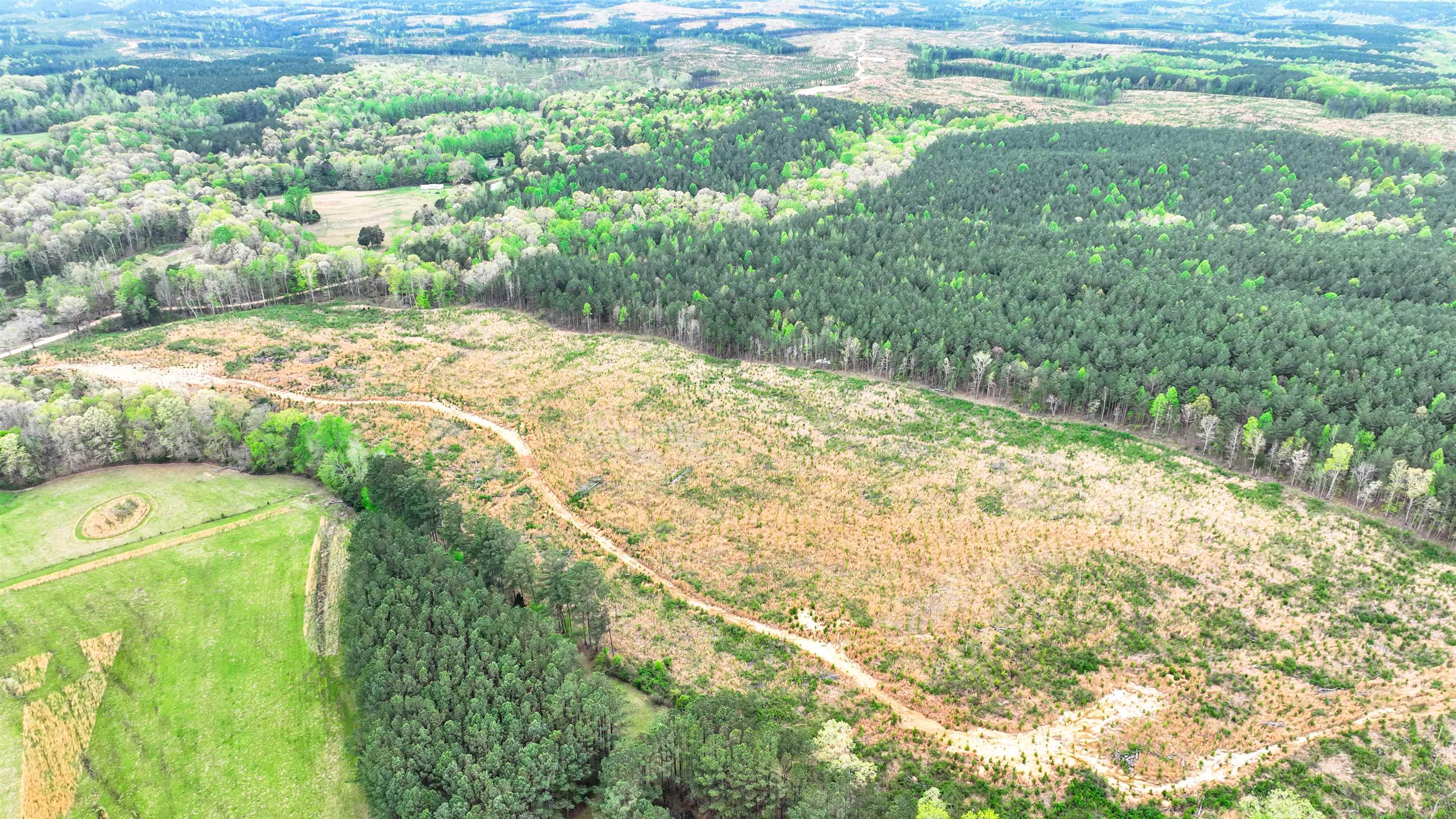 0 Fox Lane Savannah, TN 38372 - Photo 13 of 22