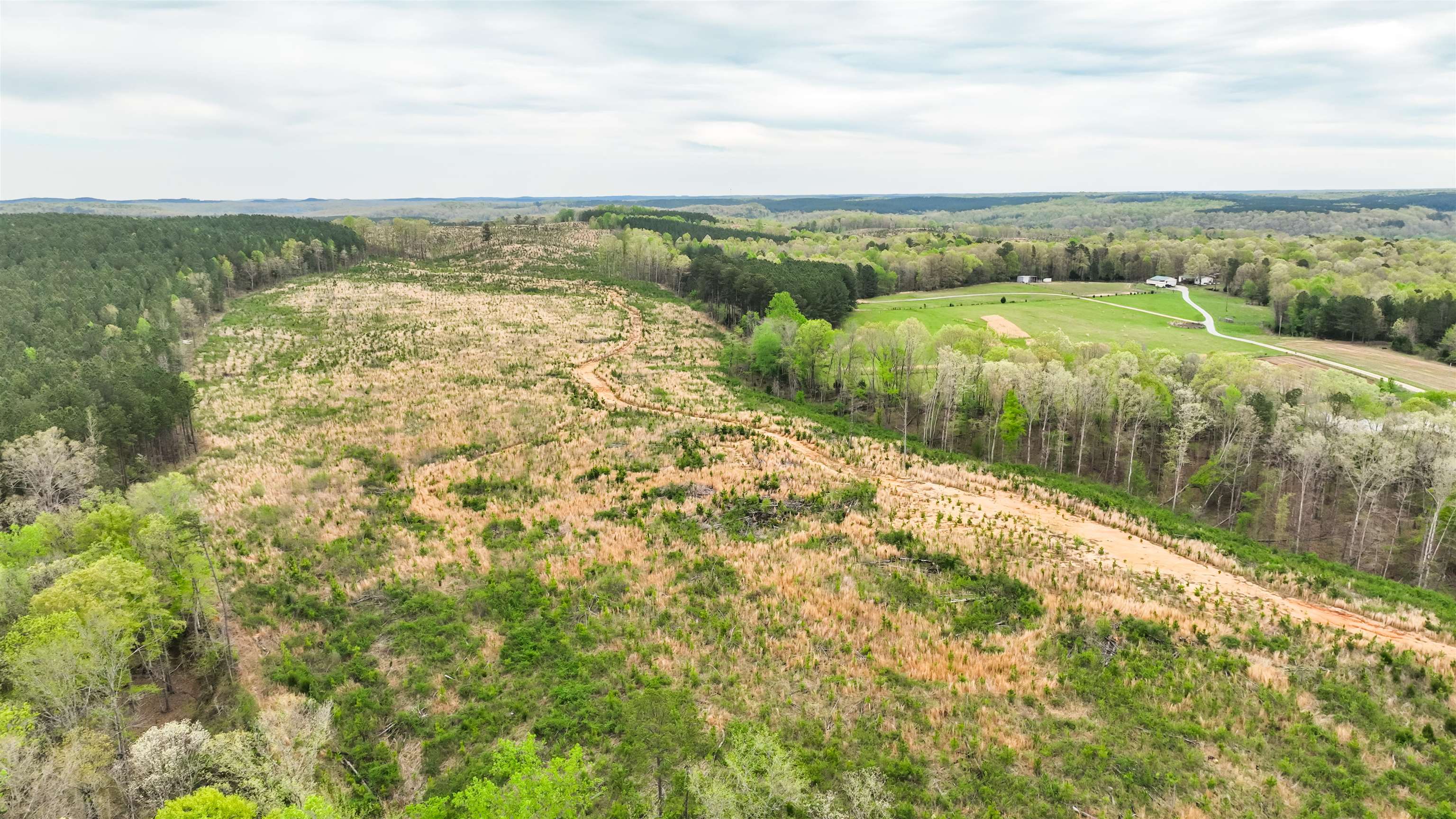 0 Fox Lane Savannah, TN 38372 - Photo 16 of 22