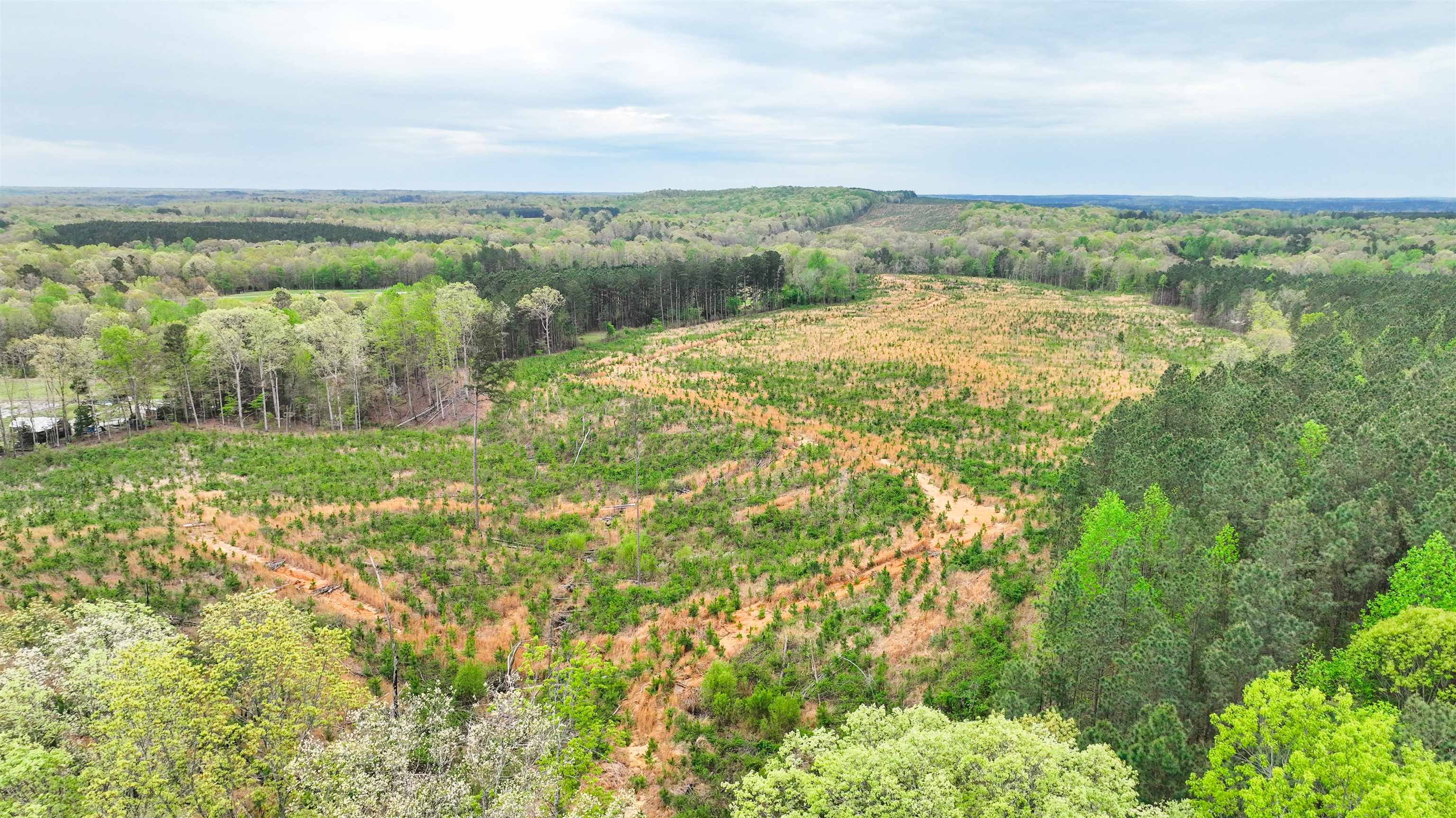 0 Fox Lane Savannah, TN 38372 - Photo 17 of 22