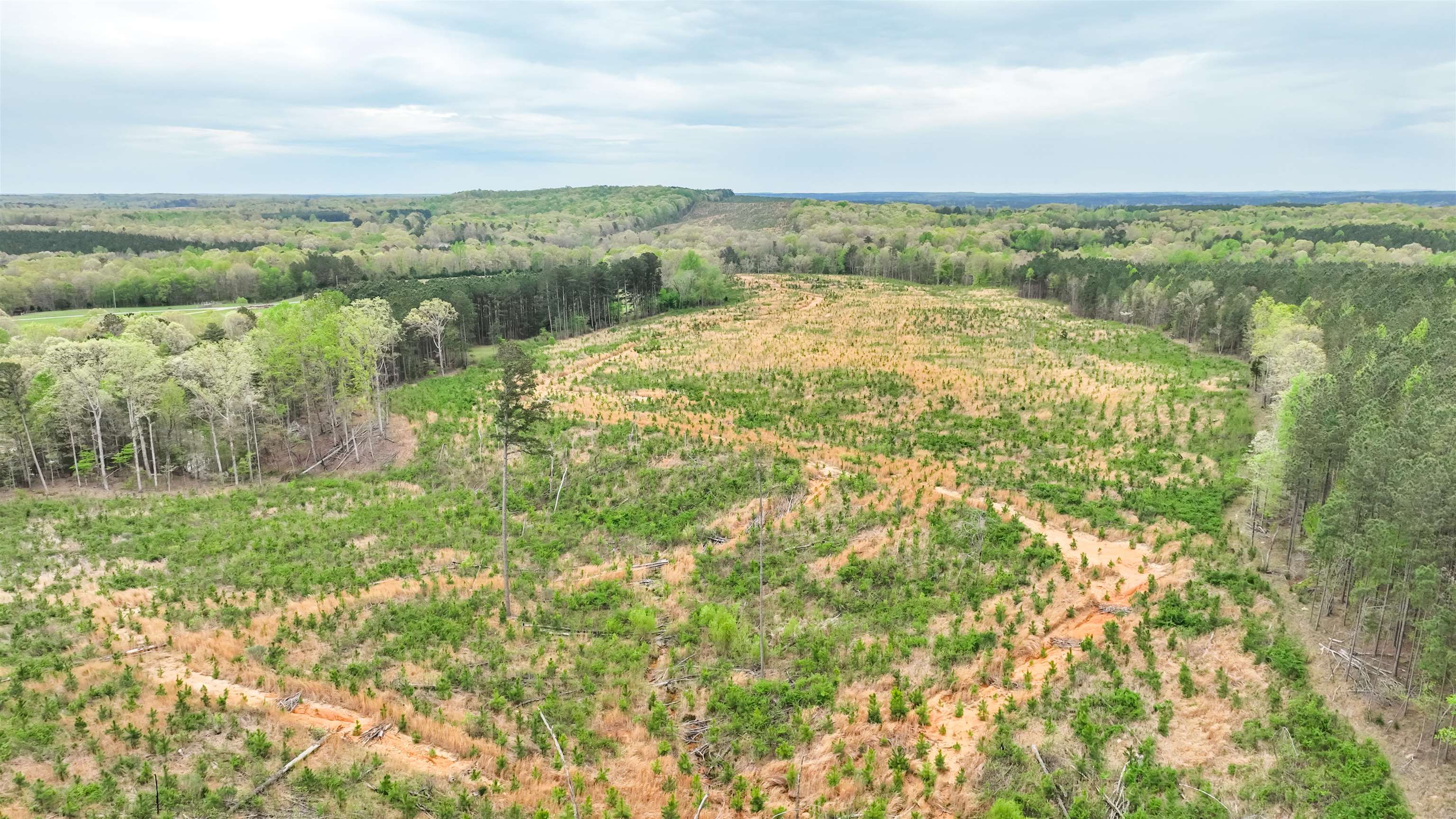 0 Fox Lane Savannah, TN 38372 - Photo 18 of 22