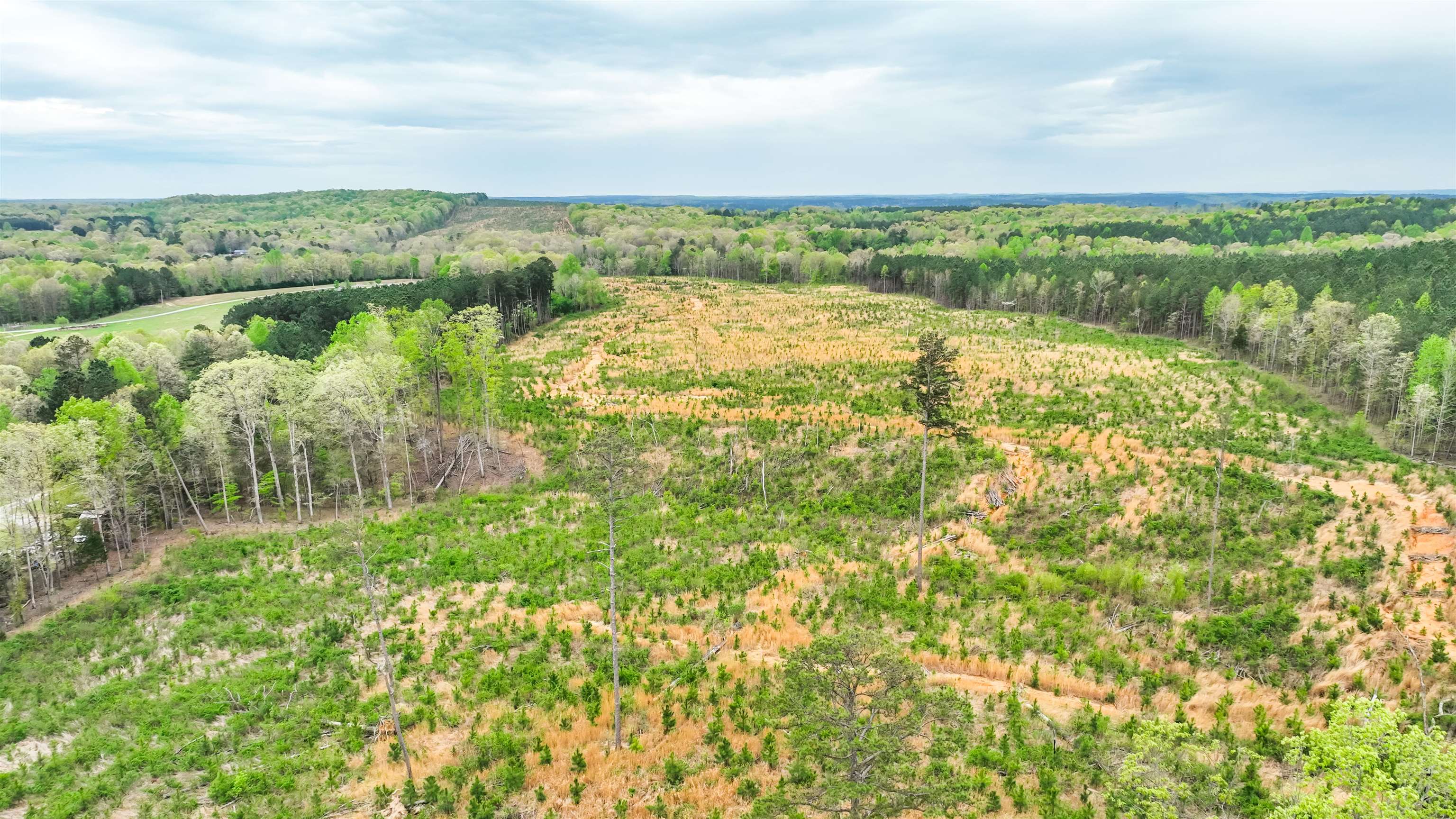 0 Fox Lane Savannah, TN 38372 - Photo 19 of 22