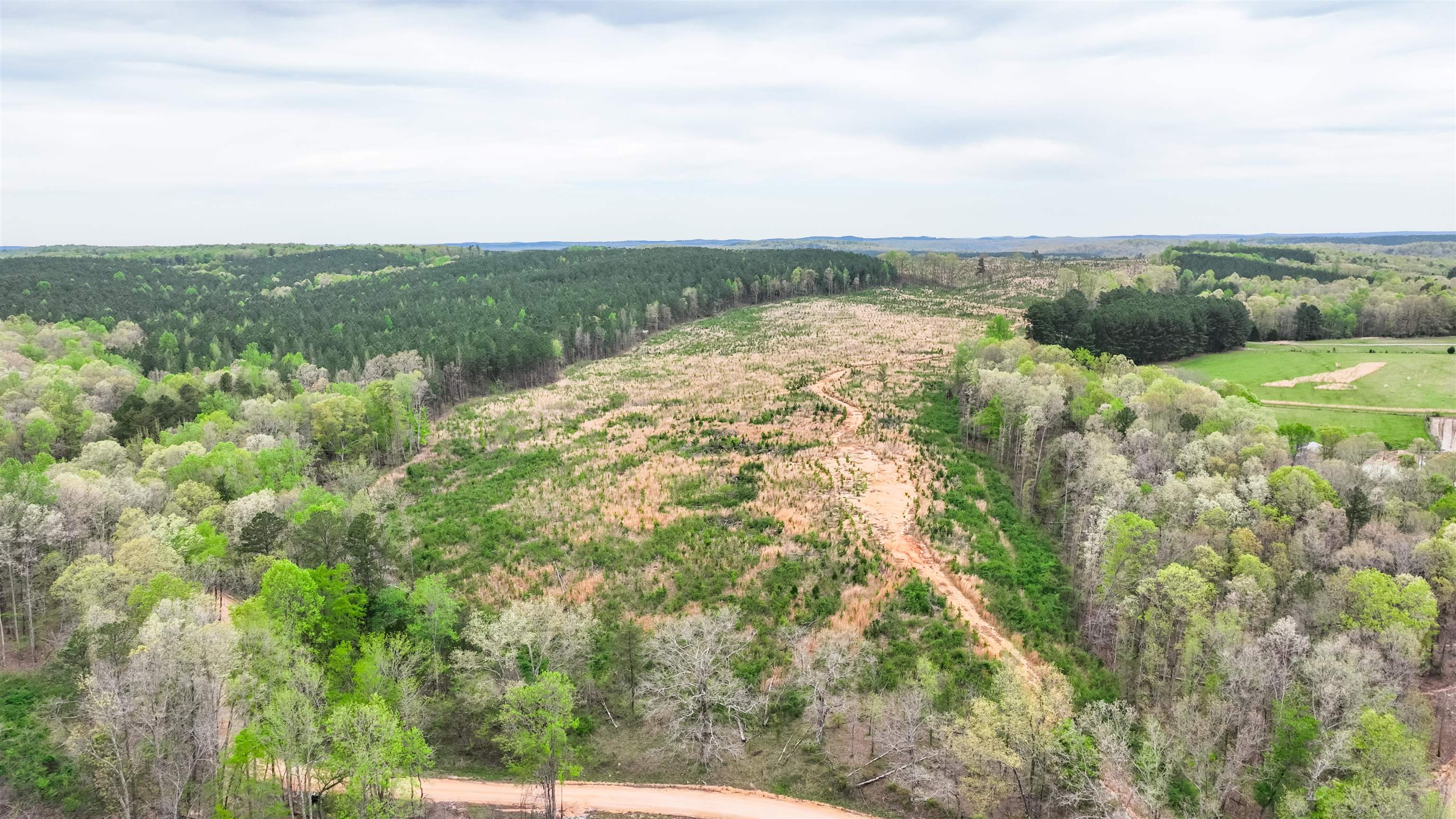 0 Fox Lane Savannah, TN 38372 - Photo 20 of 22