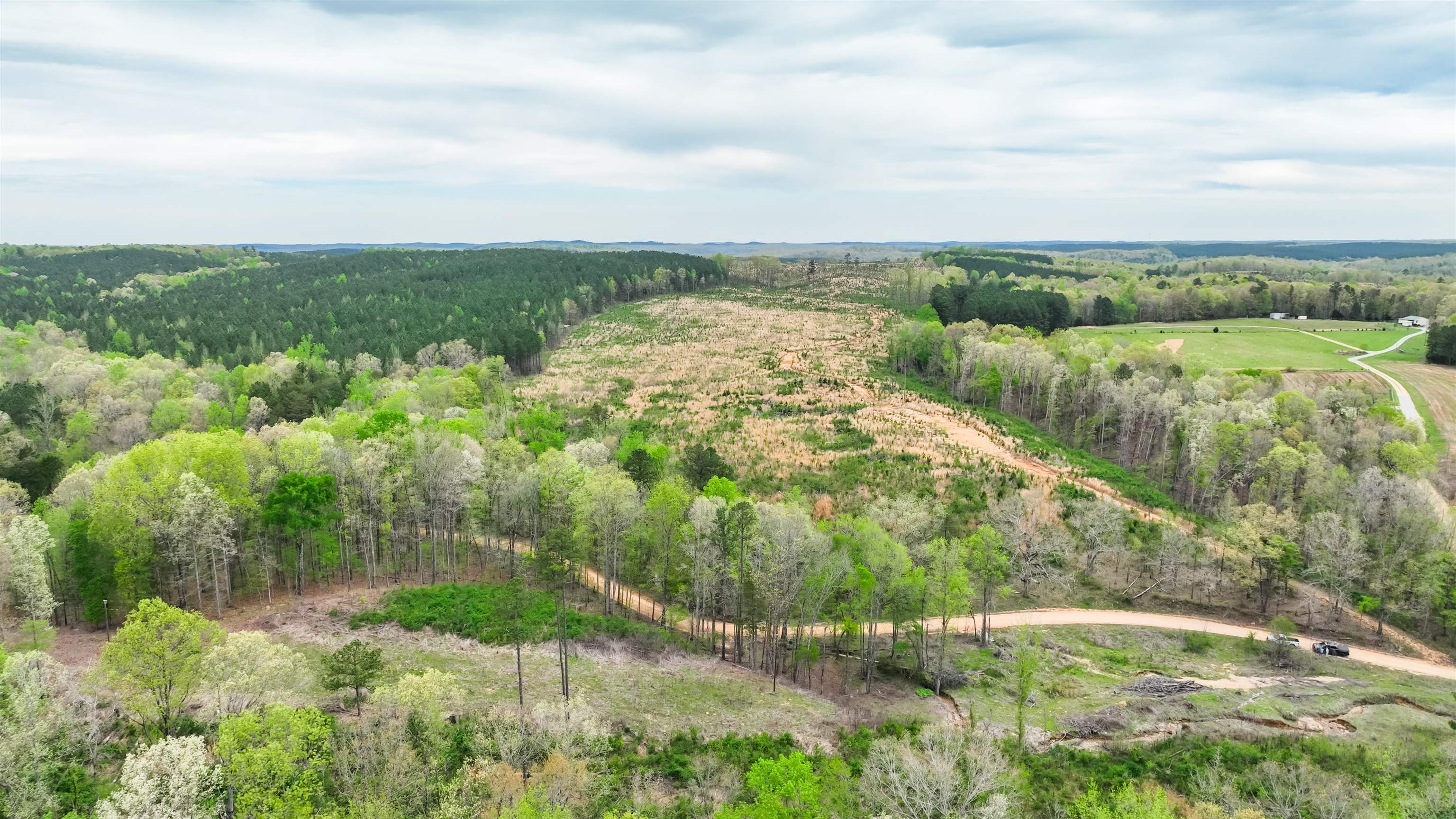 0 Fox Lane Savannah, TN 38372 - Photo 21 of 22