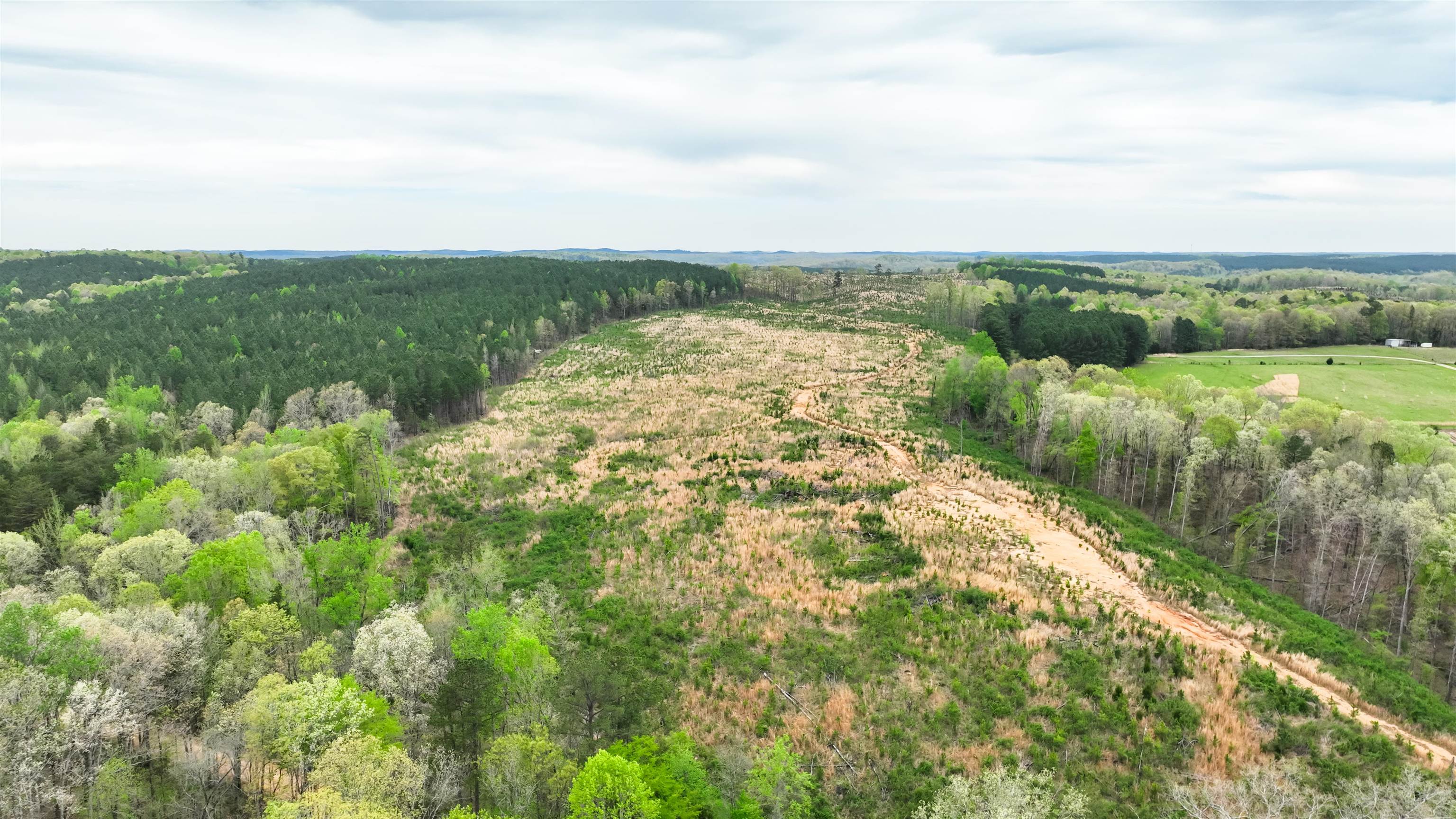 0 Fox Lane Savannah, TN 38372 - Photo 22 of 22