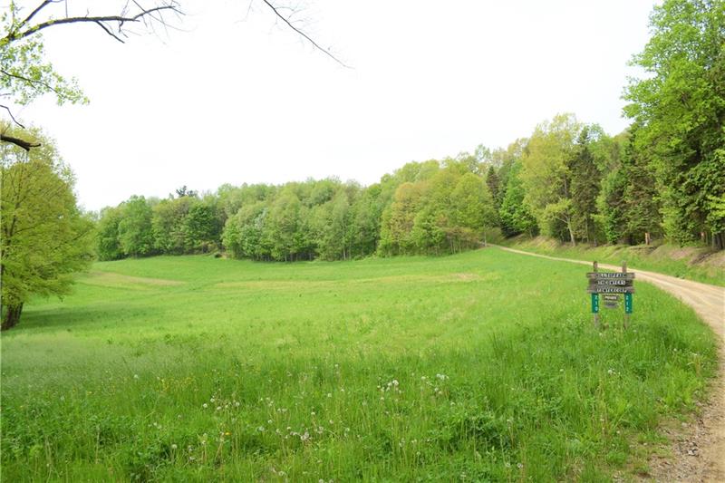 210 Fisher Road Creekside, PA 15732 - Photo 1 of 21 210 Fisher Road. Private lane continues the whole way to property.