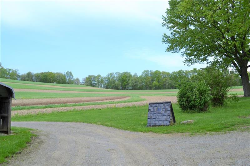 210 Fisher Road Creekside, PA 15732 - Photo 14 of 21 Back fields