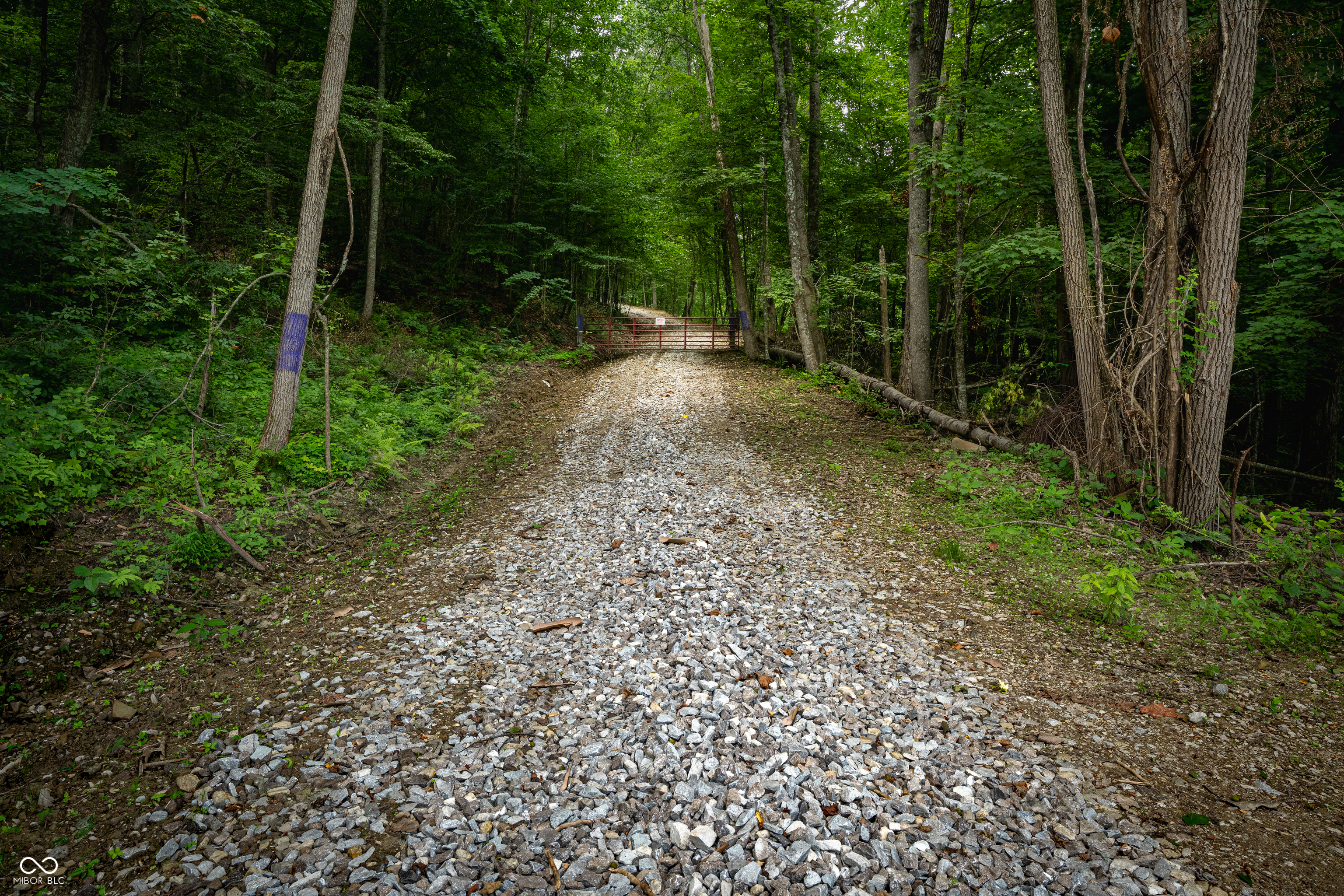 0 Salt Creek Road Nashville, IN 47448 - Photo 7 of 17
