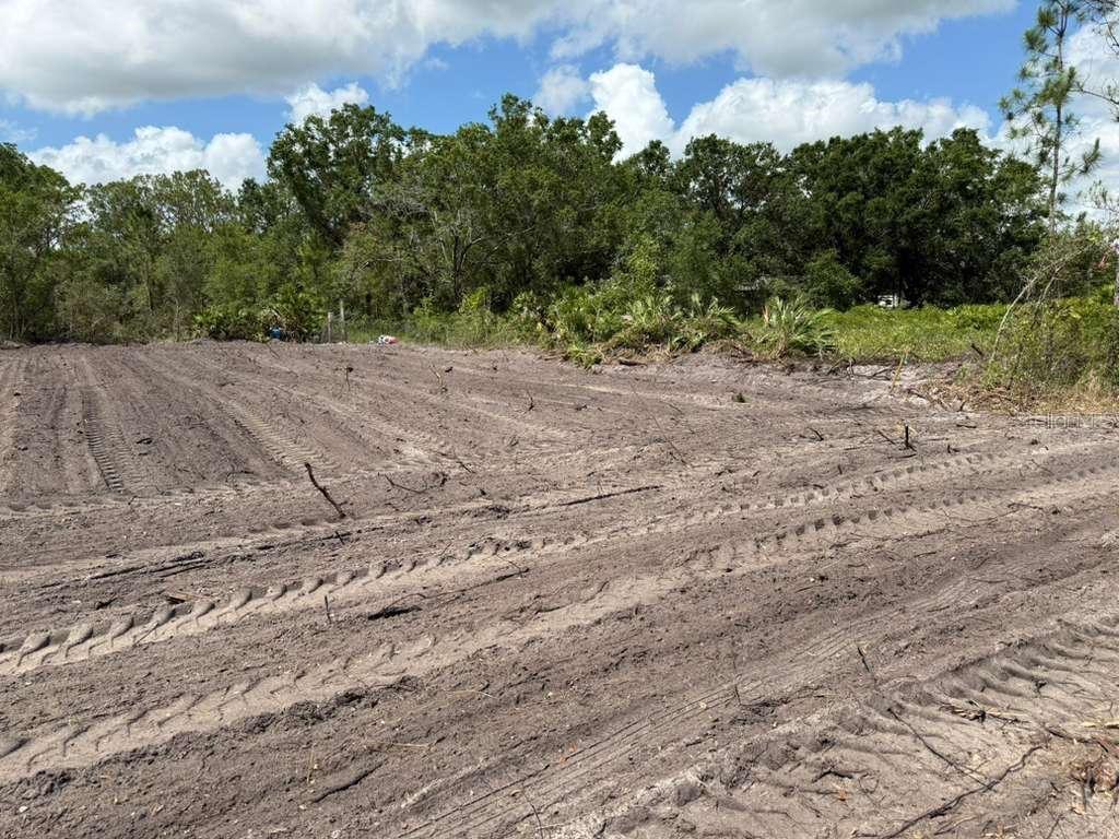 3025 West Metuchen Road Avon Park, FL 33825 - Photo 3 of 6