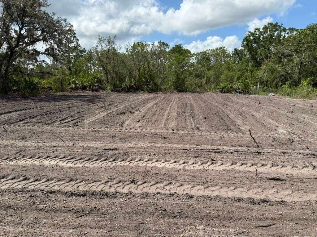 3025 West Metuchen Road Avon Park, FL 33825 - Photo 4 of 6