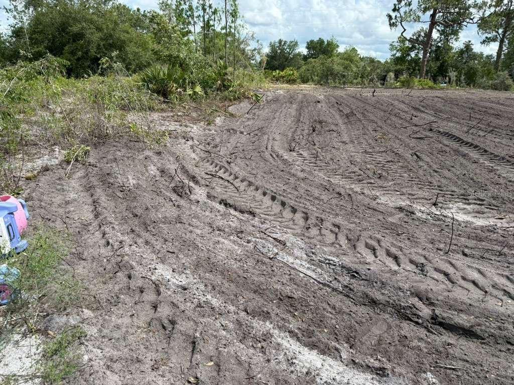 3025 West Metuchen Road Avon Park, FL 33825 - Photo 5 of 6