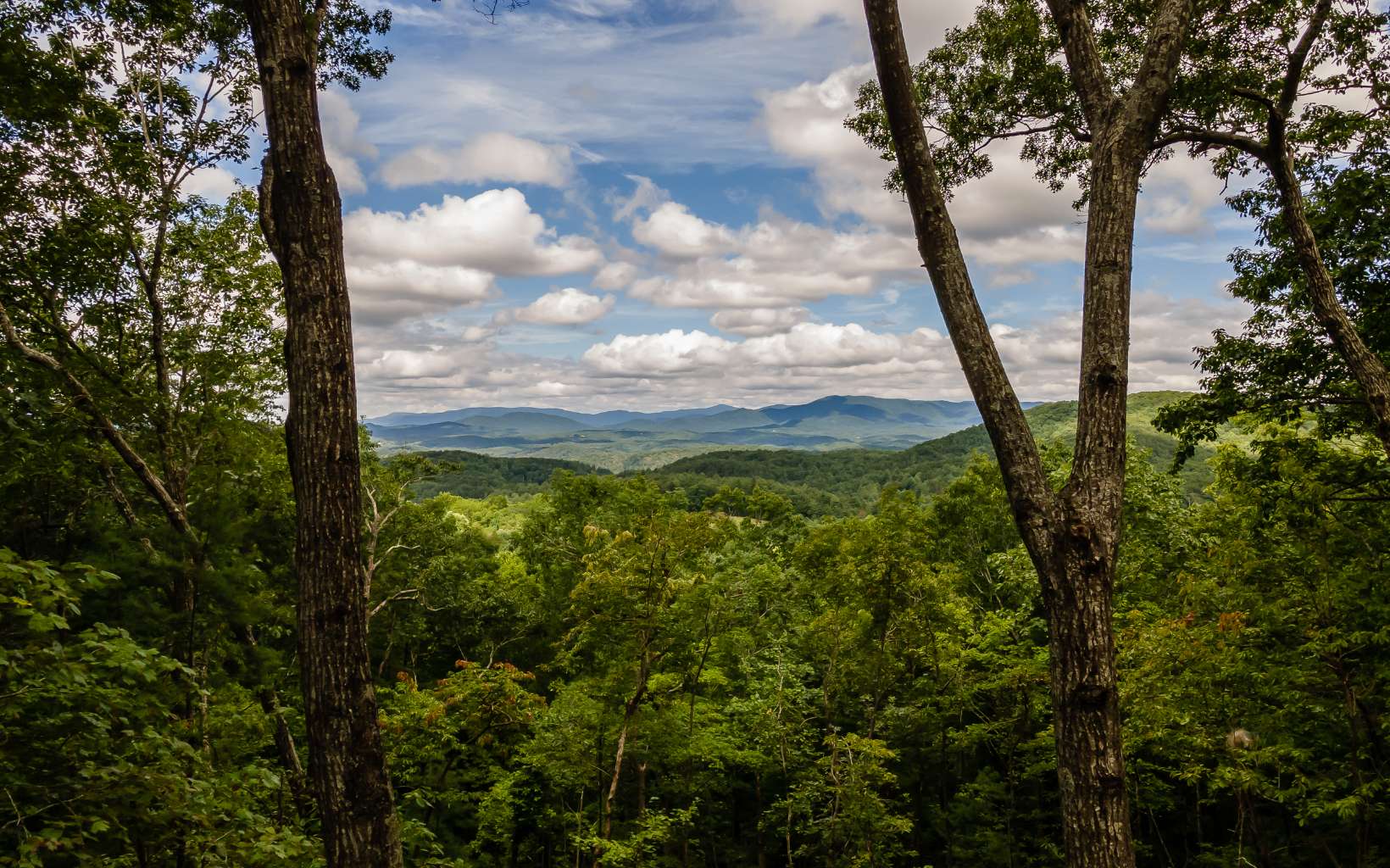 276 Walnut Mountain Road Ellijay, GA 30536 - Photo 2 of 45 Additional View