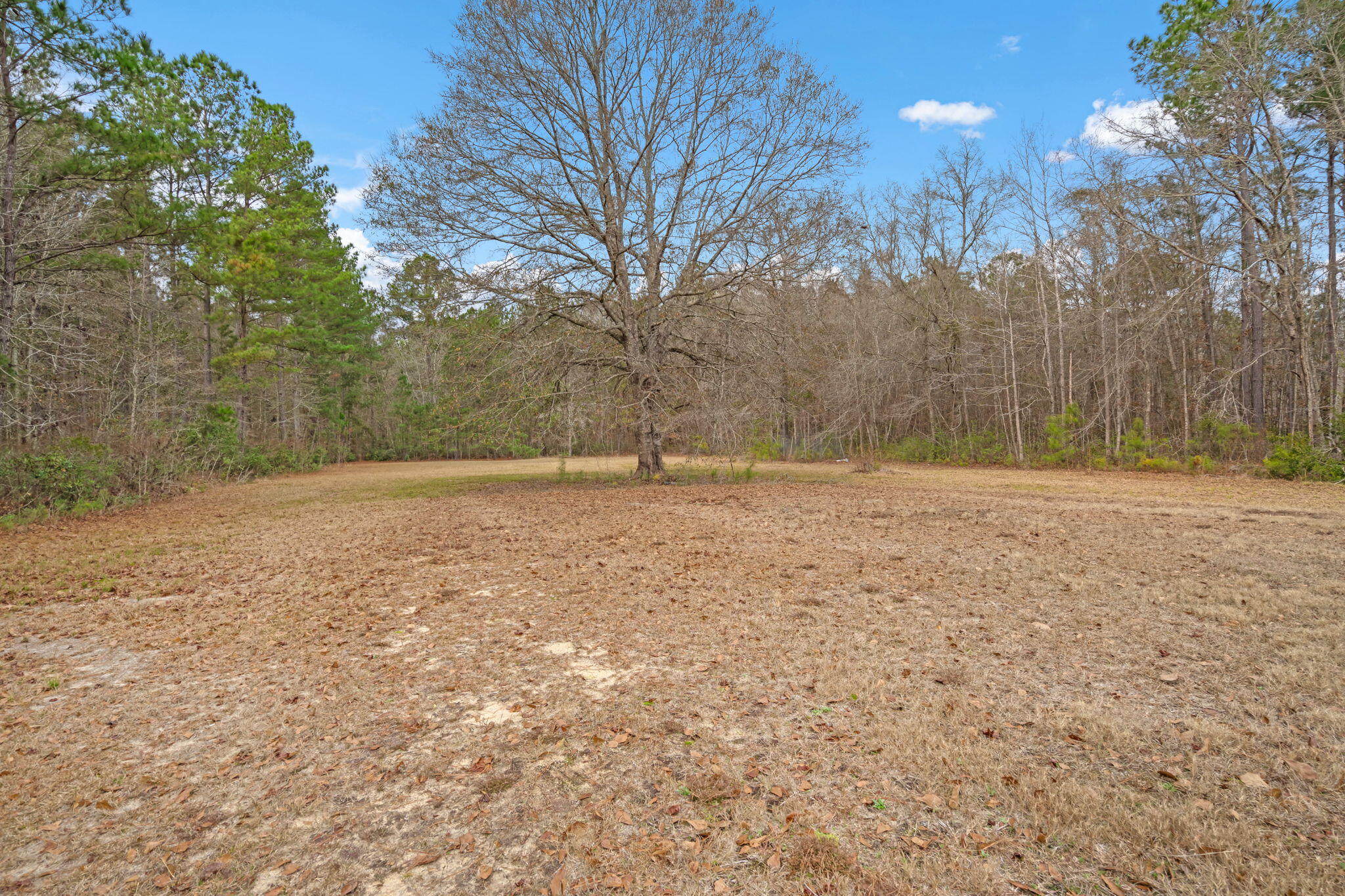 4567 Can City Road Walterboro, SC 29488 - Photo 26 of 27 27