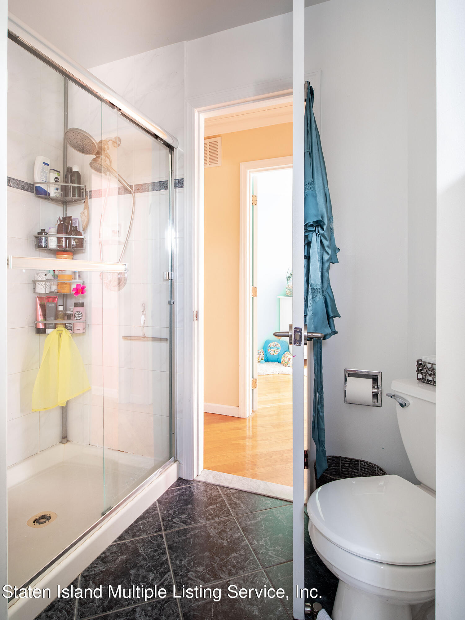 48 Ragazzi Lane Staten Island, NY 10305 - Photo 21 of 32 P1844845