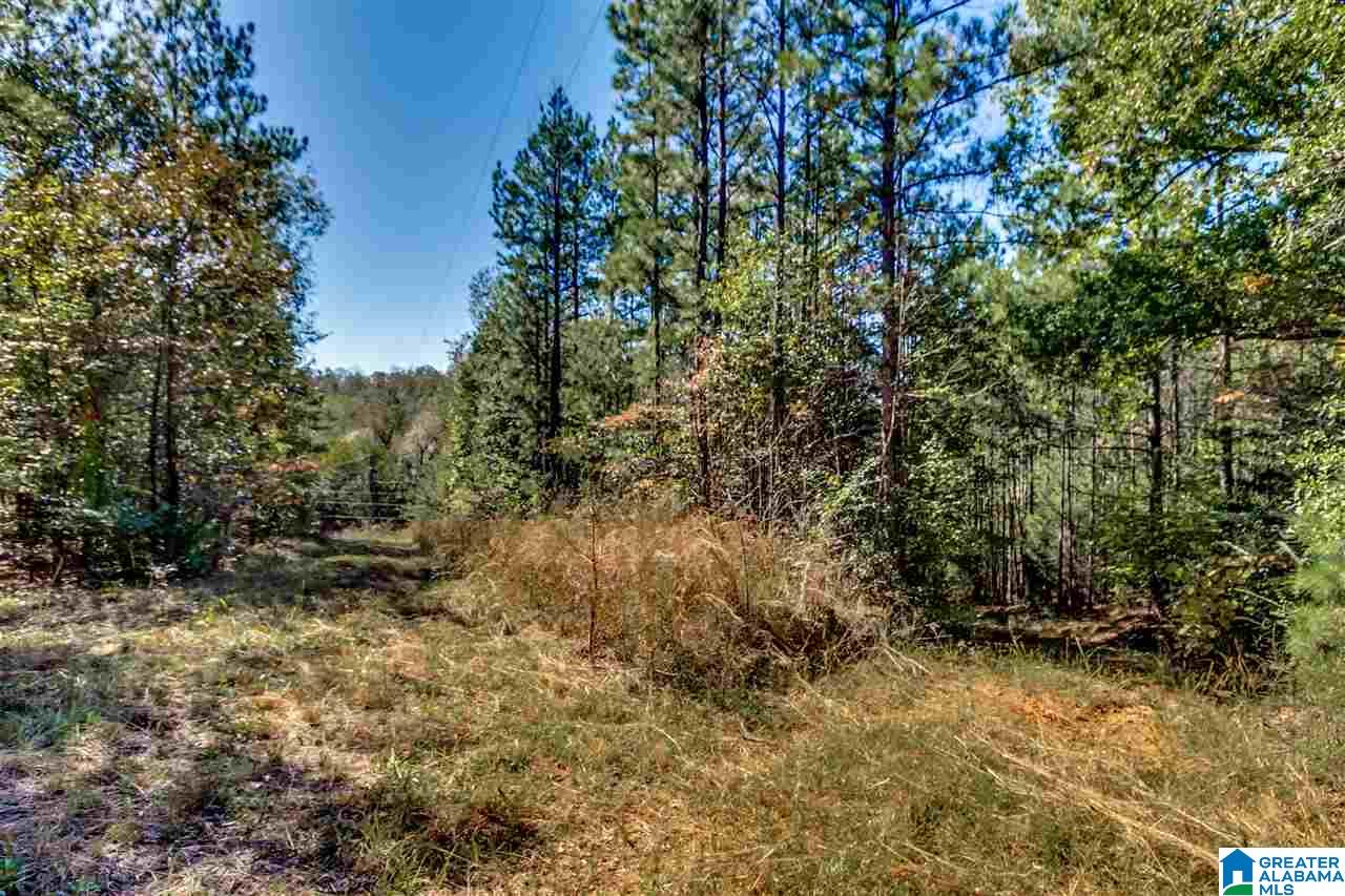 384 Wolf Pond Road, Unit 1 Talladega, AL 35160 - Photo 3 of 26