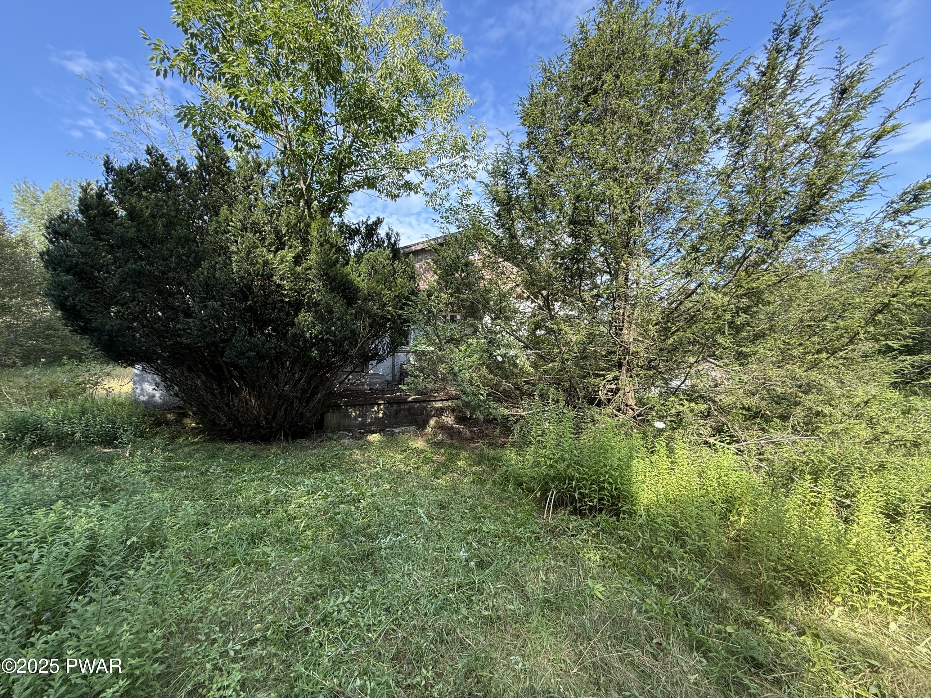 113 Deer Road Greentown, PA 18426 - Photo 3 of 17 Private .69 Acres