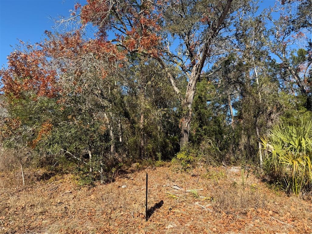 4307 Castle Avenue Spring Hill, FL 34609 - Photo 2 of 3