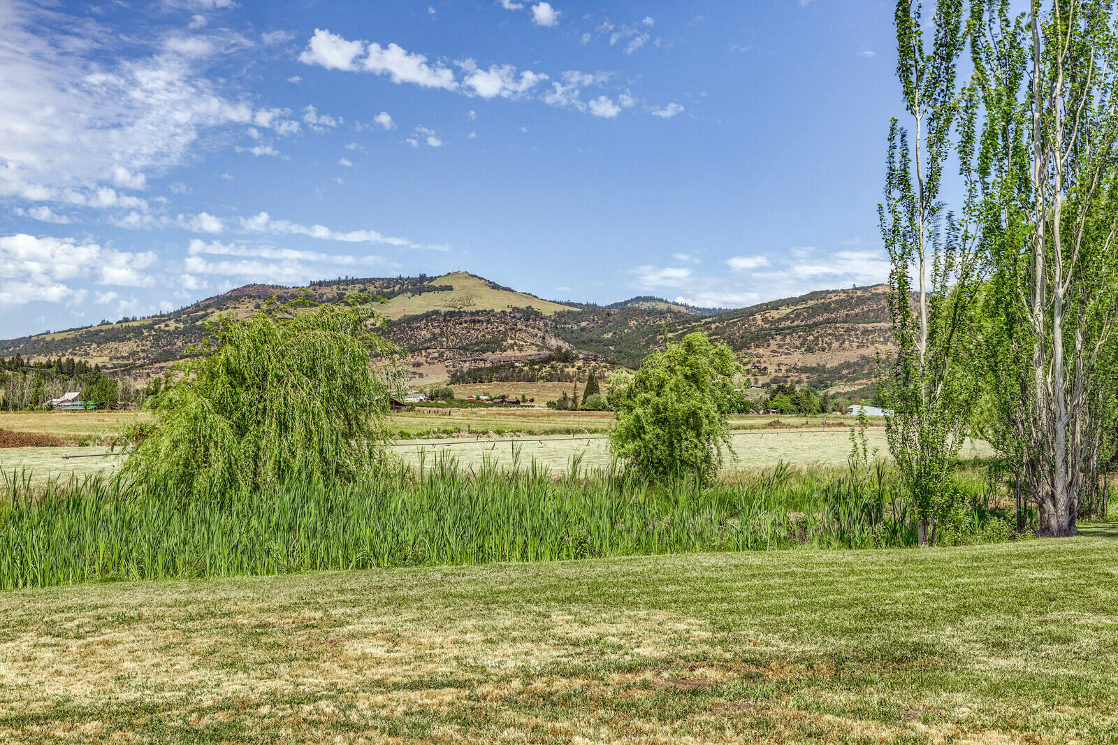 4756 Fern Valley Road Medford, OR 97504 - Photo 5 of 89 03_FV_4_mls