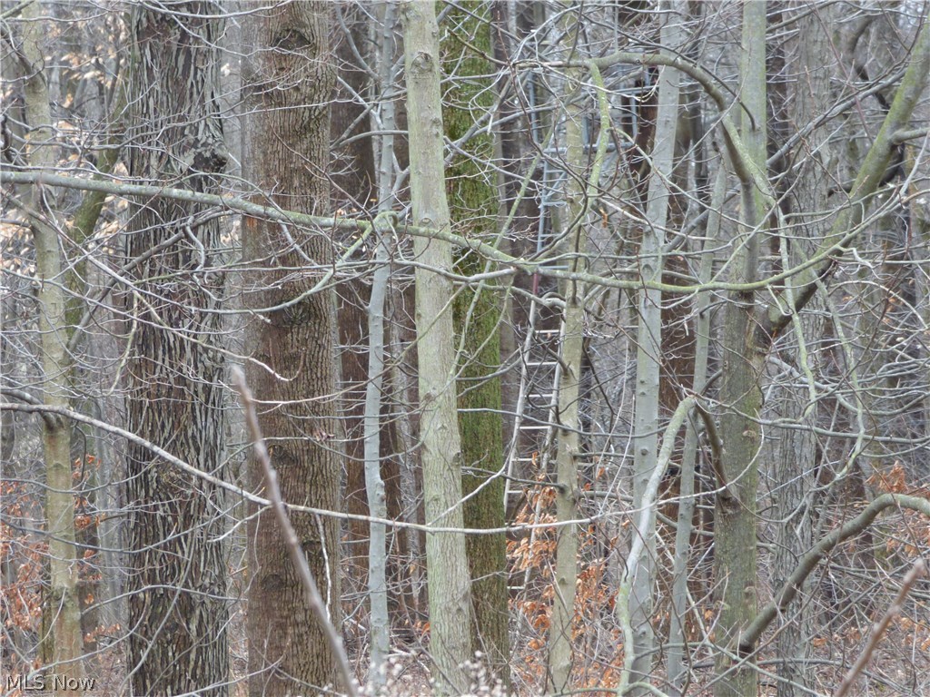 Hawley Road Wellington, OH 44090 - Photo 11 of 20 Gallery Image 11