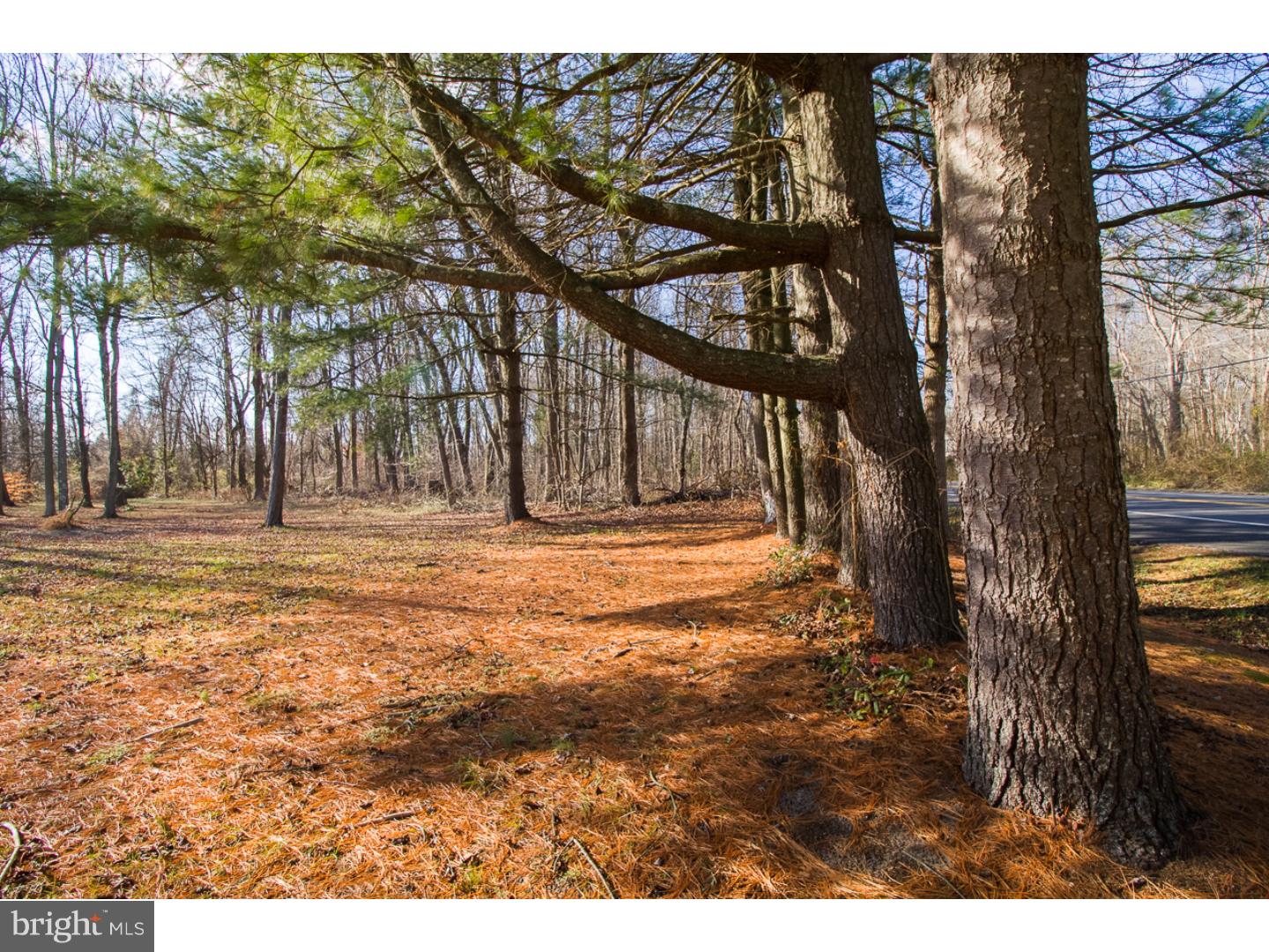 94 Monmouth Road Wrightstown, NJ 08562 - Photo 18 of 25 Gallery Image 18