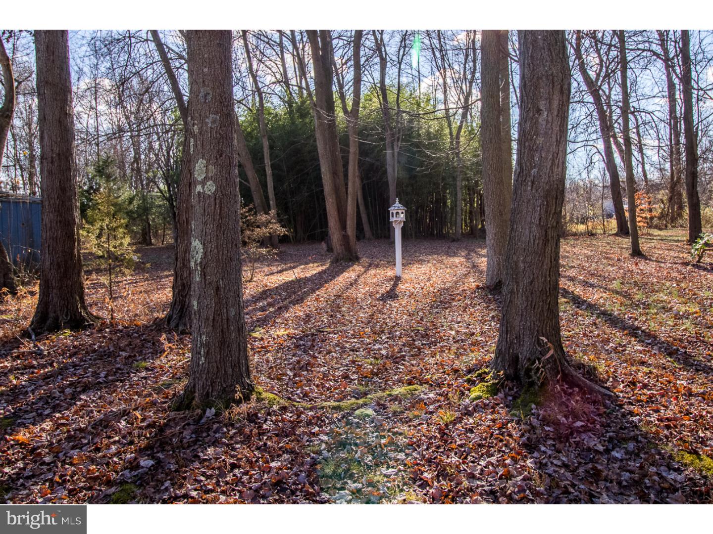 94 Monmouth Road Wrightstown, NJ 08562 - Photo 23 of 25 Gallery Image 23