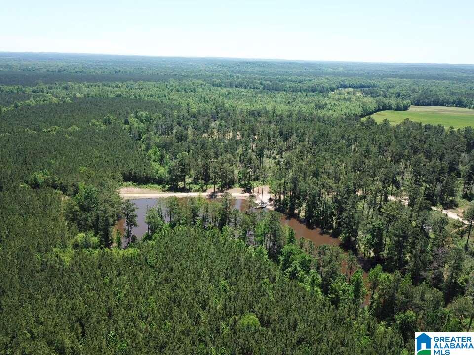 7 County Road, Unit 152 Thomasville, AL 36784 - Photo 8 of 11