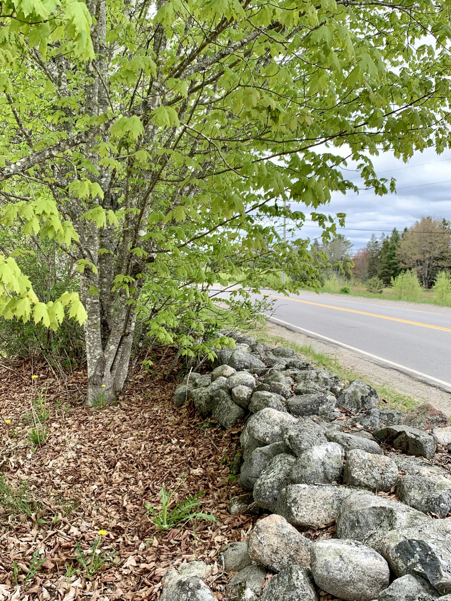 191 Route 191 Route Cathance Township, ME 04657 - Photo 14 of 93 IMG_8476