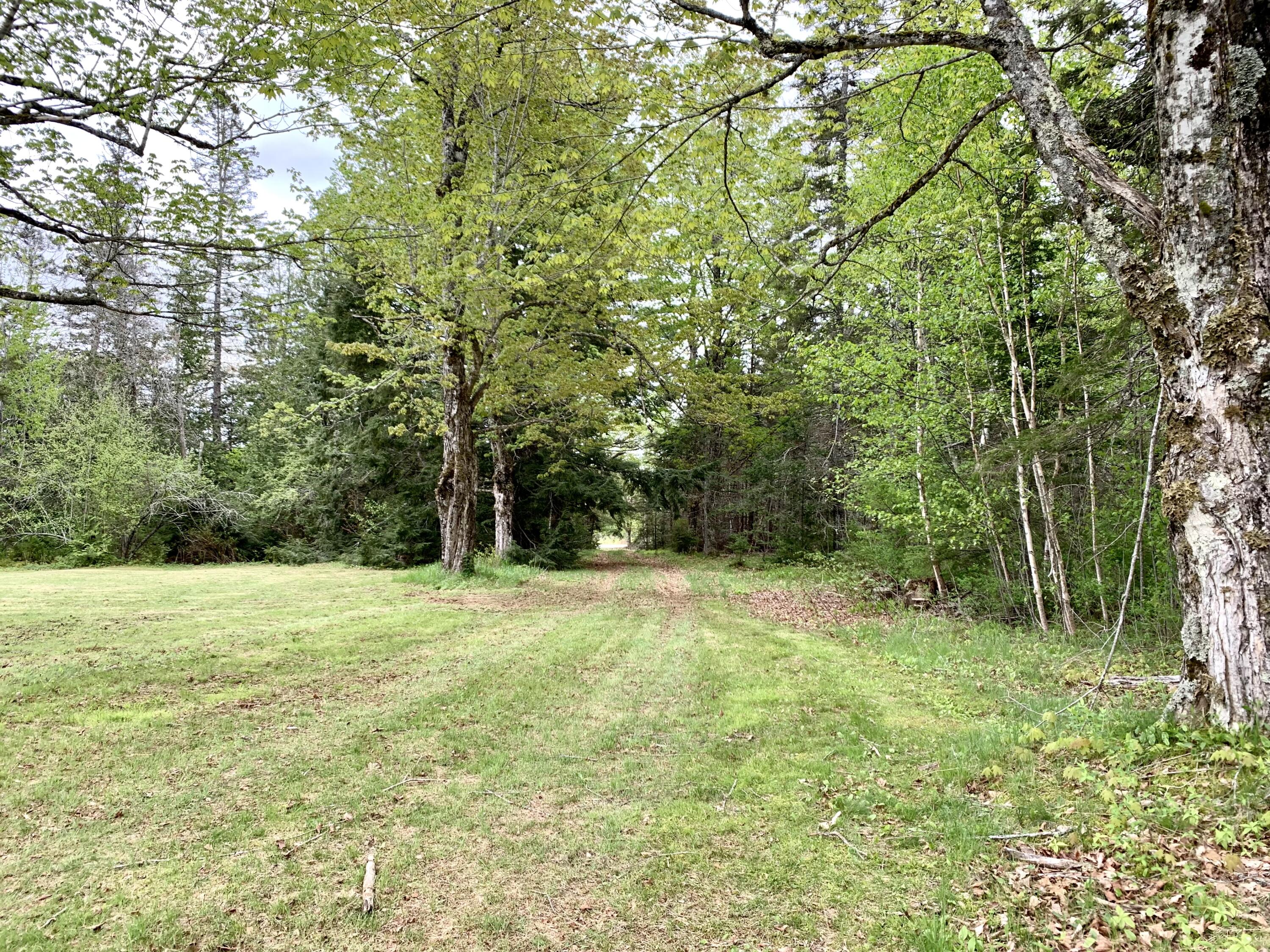 191 Route 191 Route Cathance Township, ME 04657 - Photo 16 of 93 IMG_8464