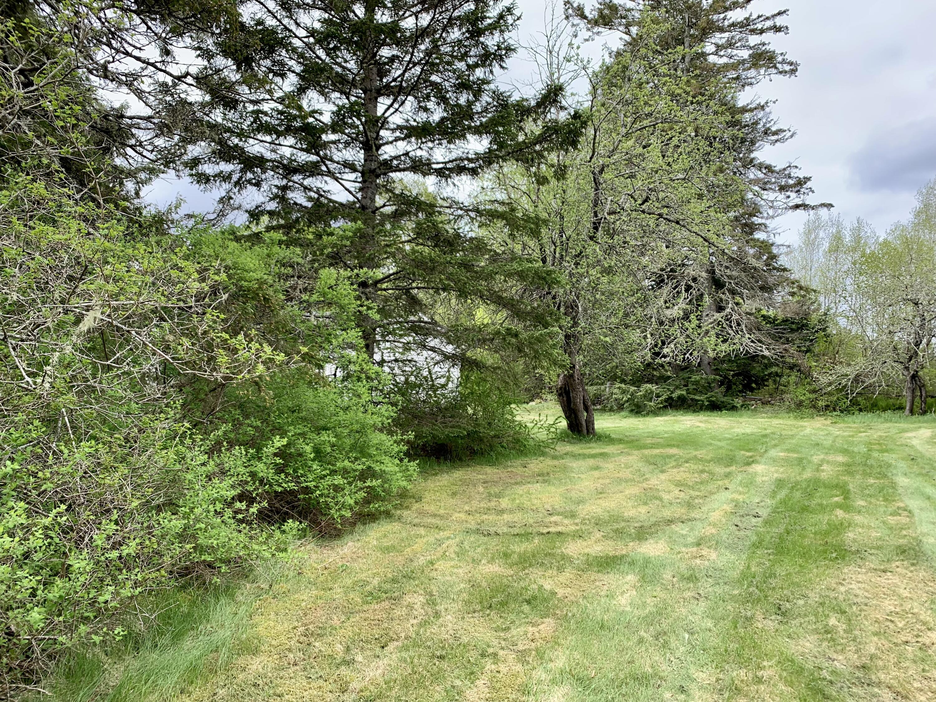 191 Route 191 Route Cathance Township, ME 04657 - Photo 26 of 93 IMG_8396