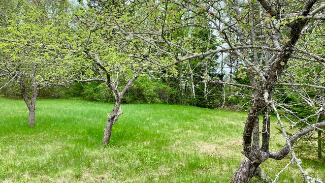 $294,500 | 191 Route 191 Route, Cathance Township, ME 04657